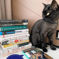 Первый книжный марафон 2020