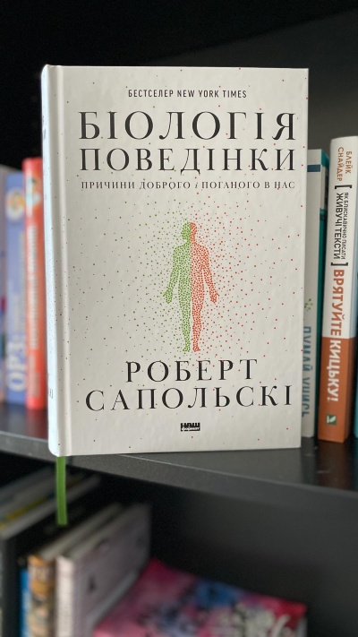 Давайте розберемось в поведінці