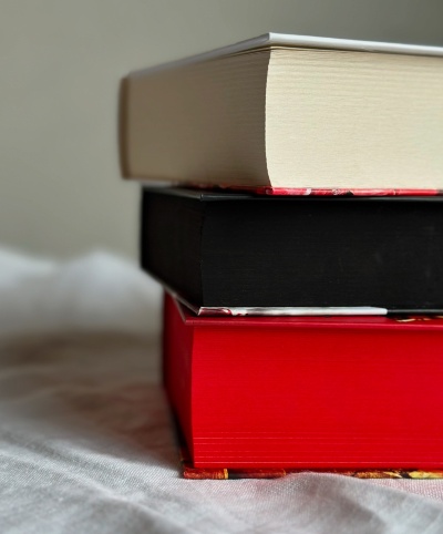 Жага" Трейсі Вульф: Занурення у світ магії, кохання та пригод