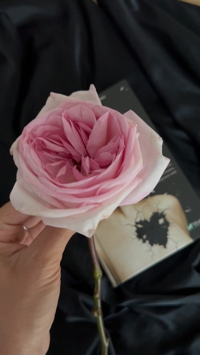 Жінки, які кохають до нестями: як знайти гармонію в стосунках і навчитися любити себе