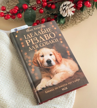 Я подумати би навіть не могла, що ця книга виявиться такою чудовою