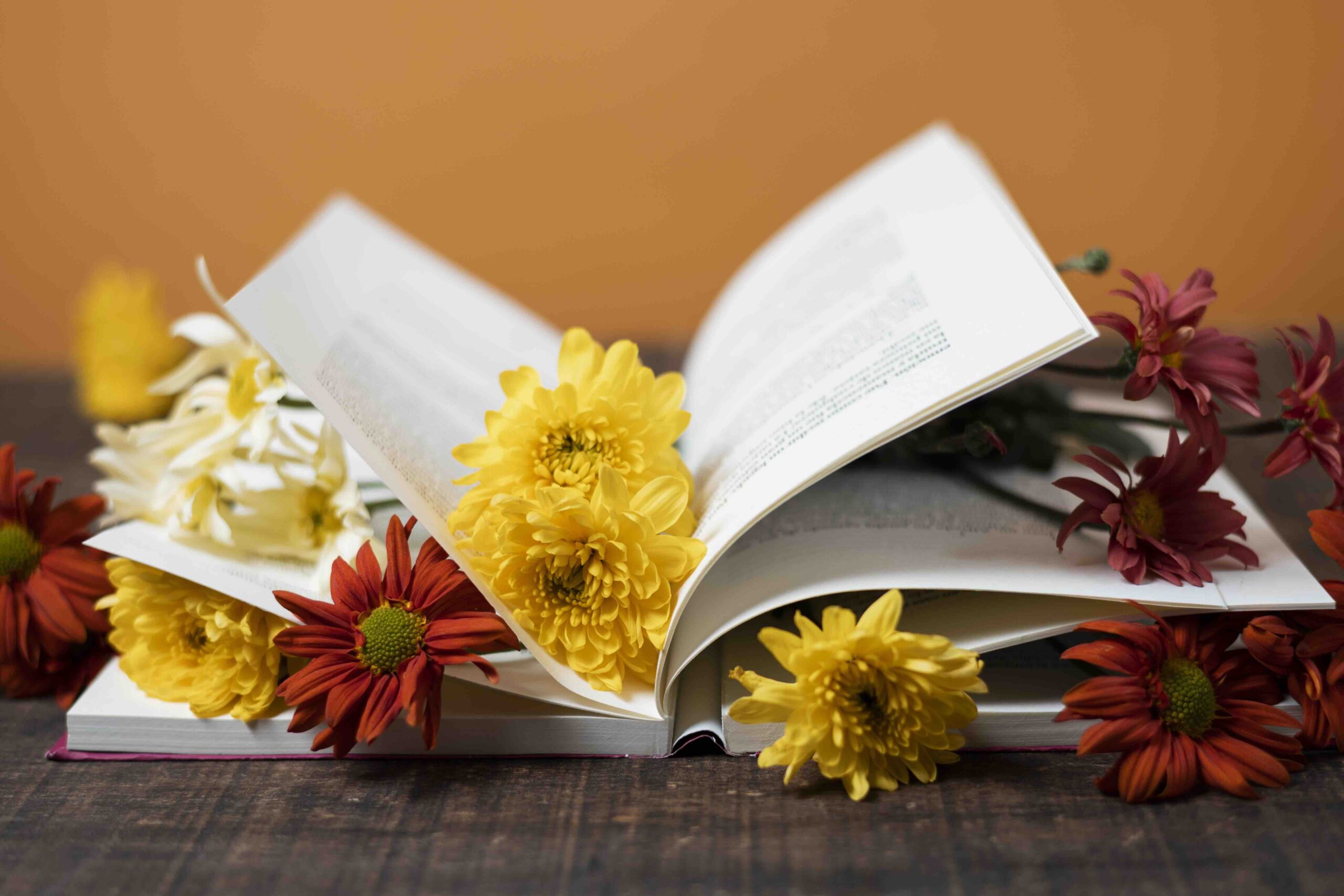 Моя книжкова полиця мрії