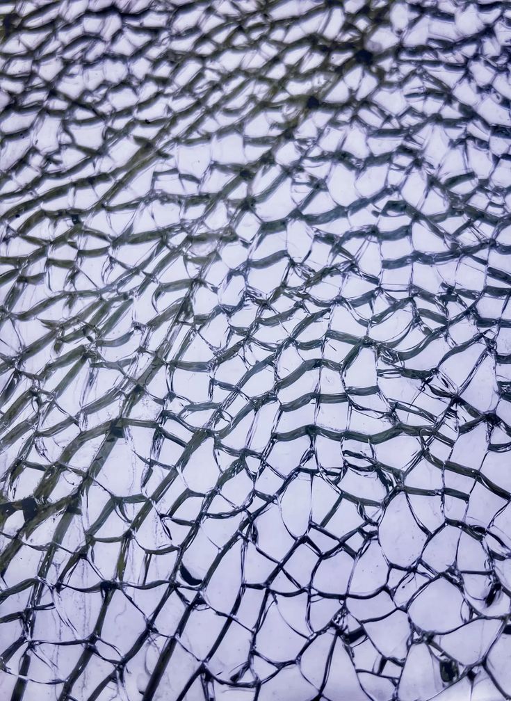 Перевірка Фортуни