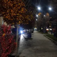 Вішлист
