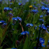Книжкові Мрії🌸