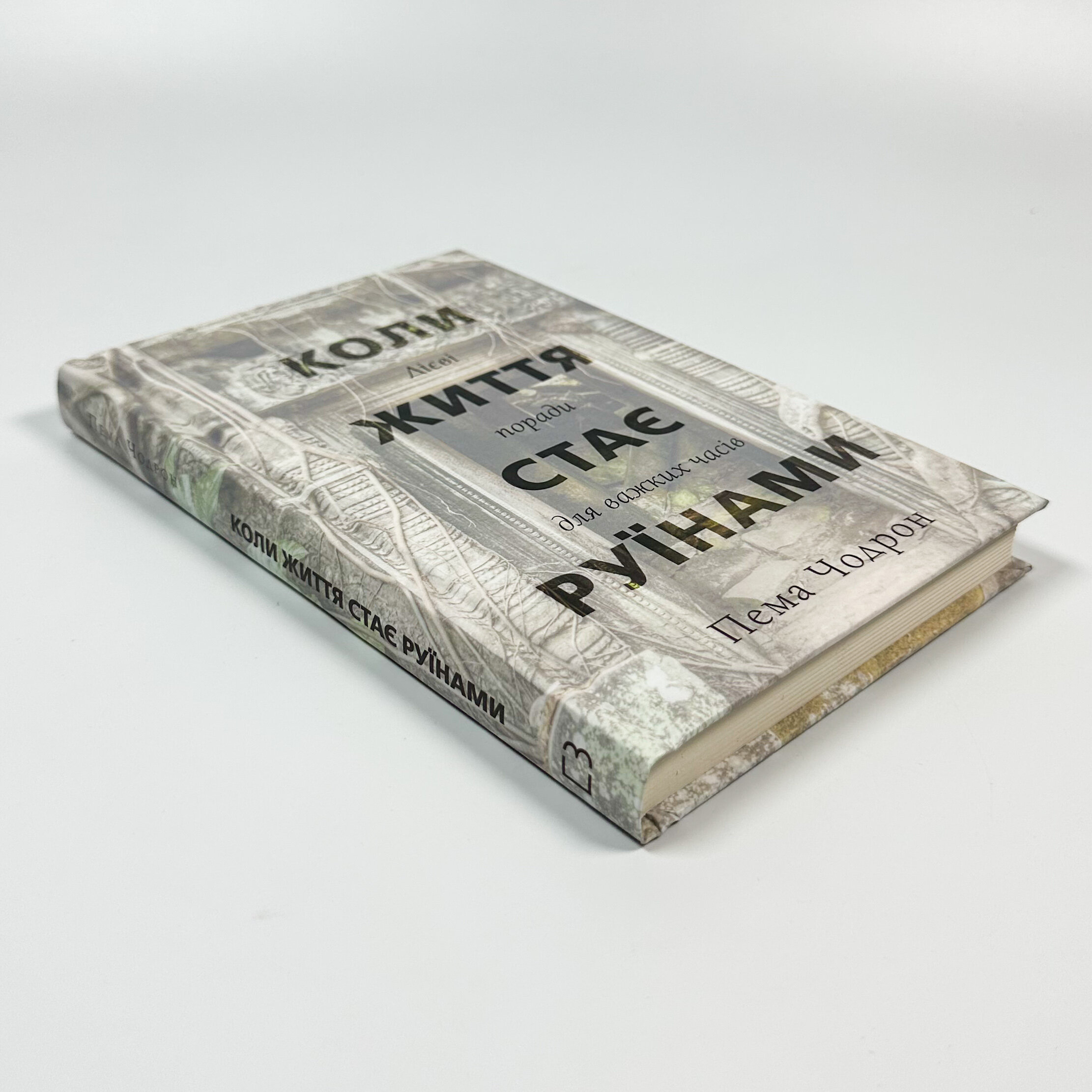 Коли життя стає руїнами. Дієві поради для важких часів