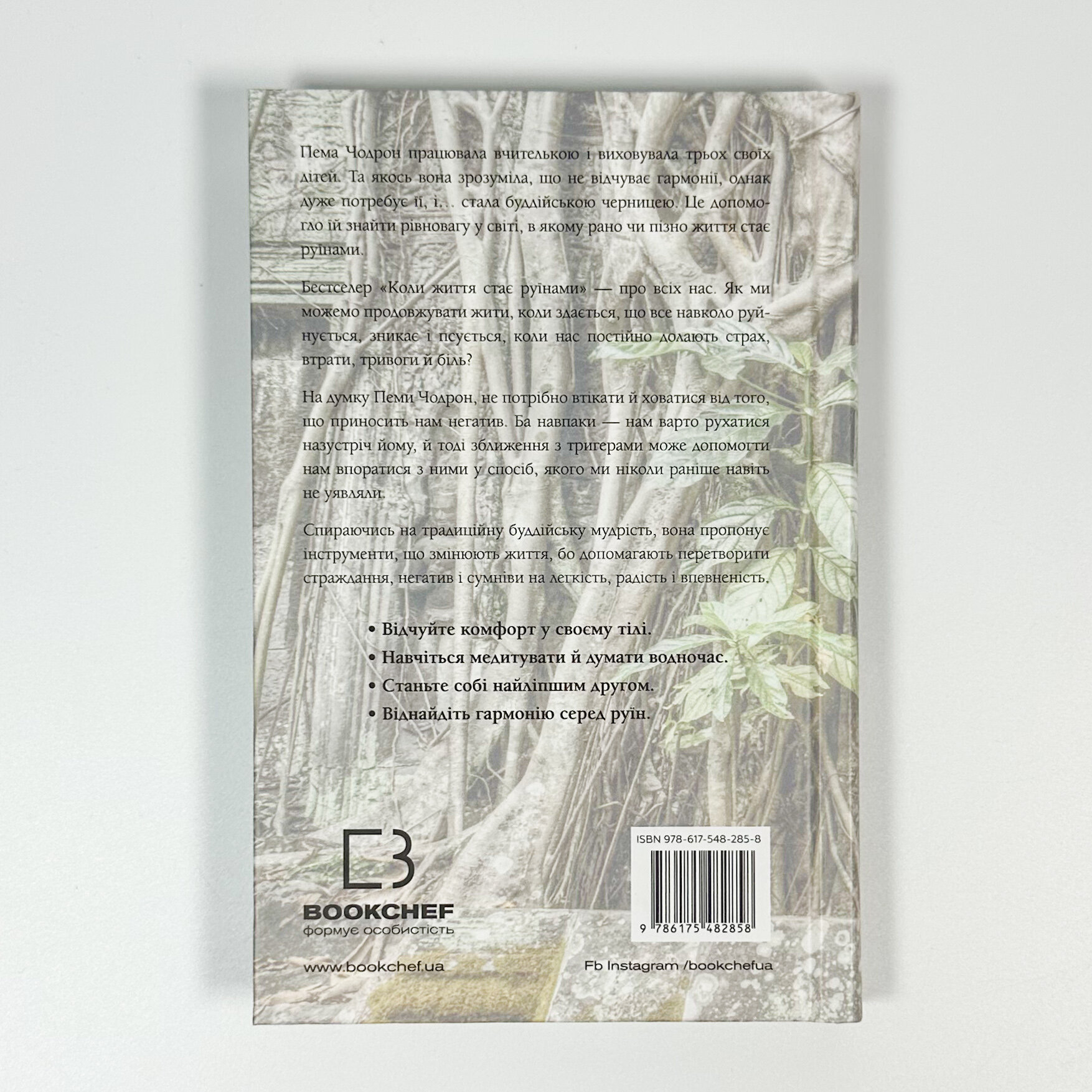 Коли життя стає руїнами. Дієві поради для важких часів. Автор — Пема Чодрон. 