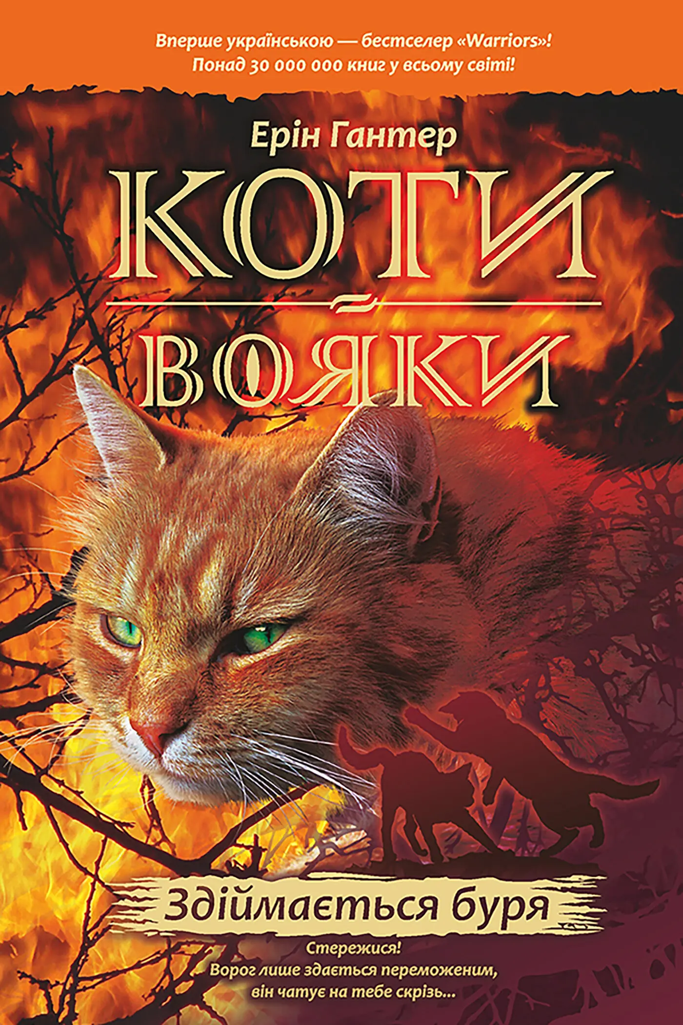 Здіймається буря. Коти-вояки