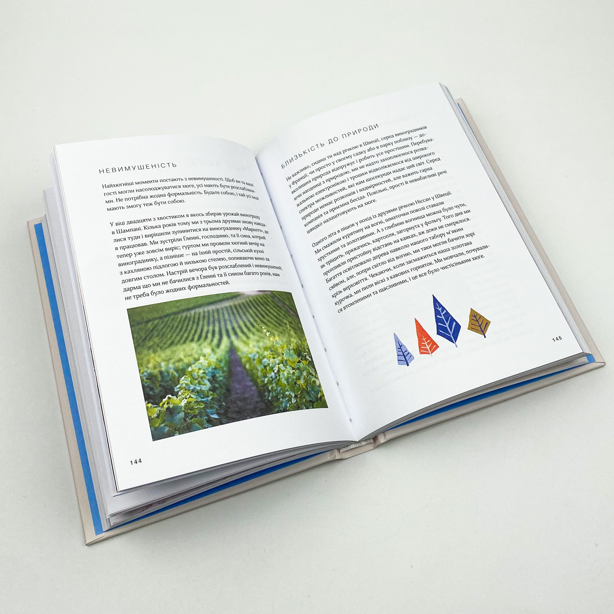 Маленька книга хюґе. Як жити добре по-данськи. Автор — Мік Вікінг. 