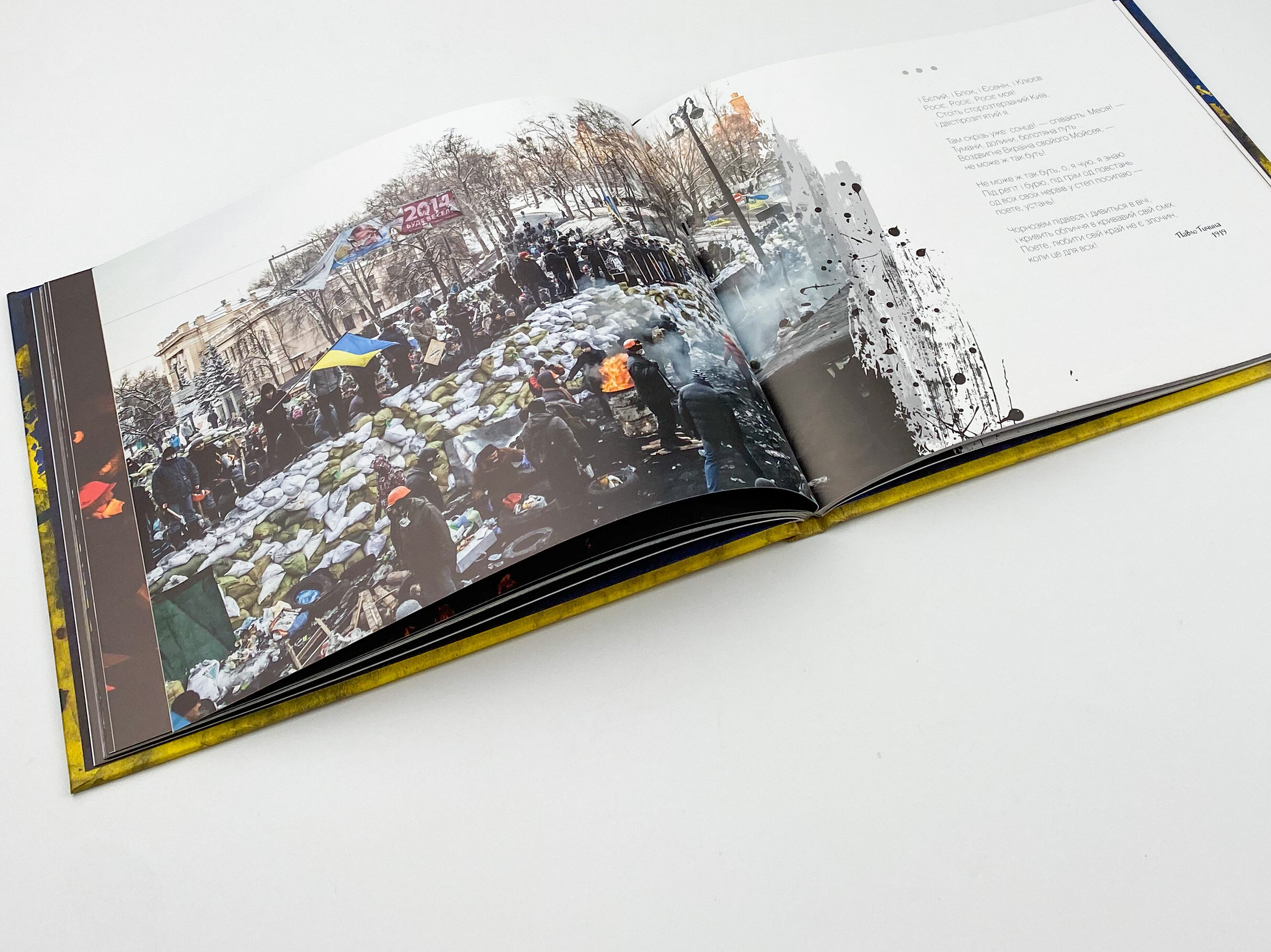 Борітеся-поборете (жовто-блакитна обклад). Автор — Рід Барбара. 