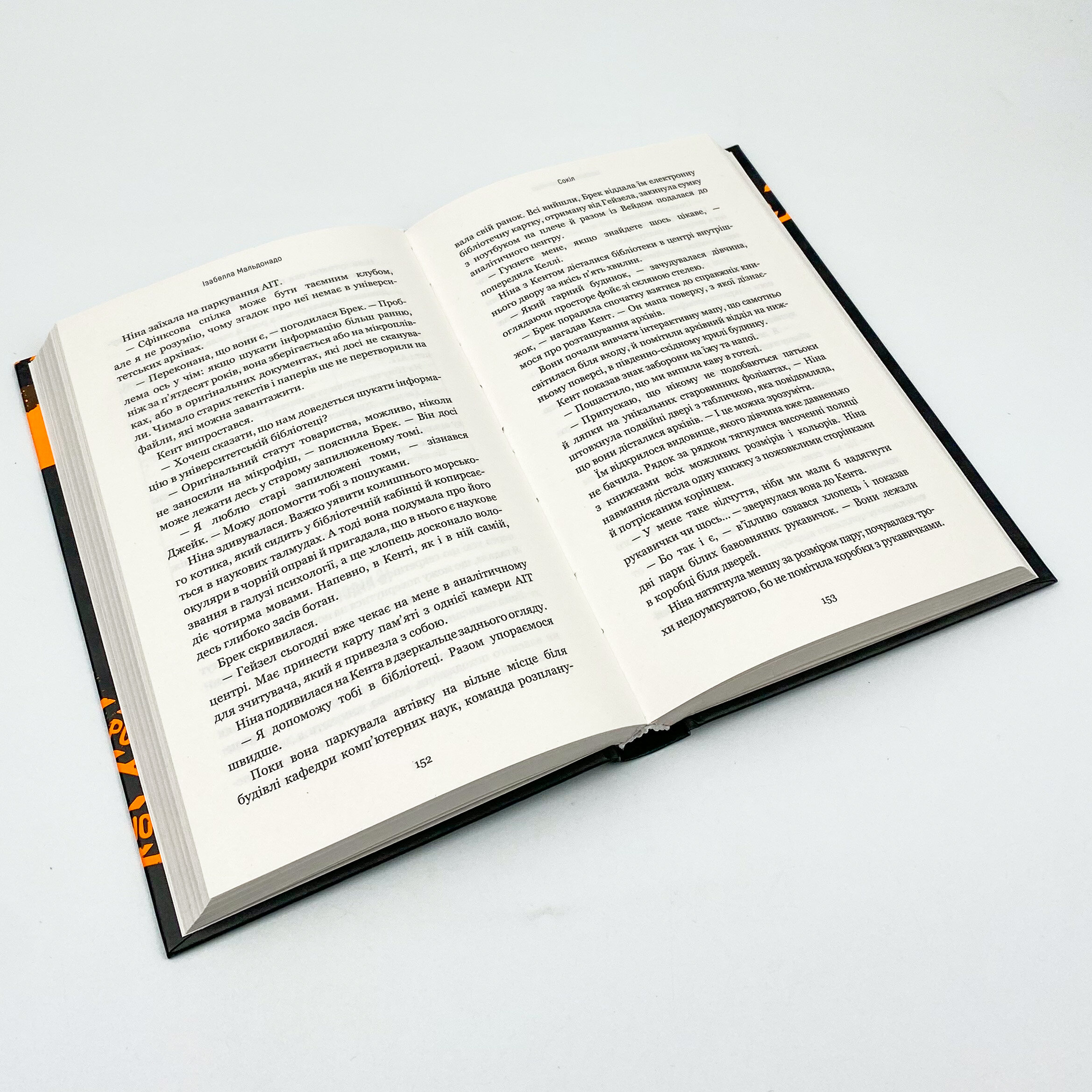 Сокіл. Автор — Ізабелла Мальдонадо. 