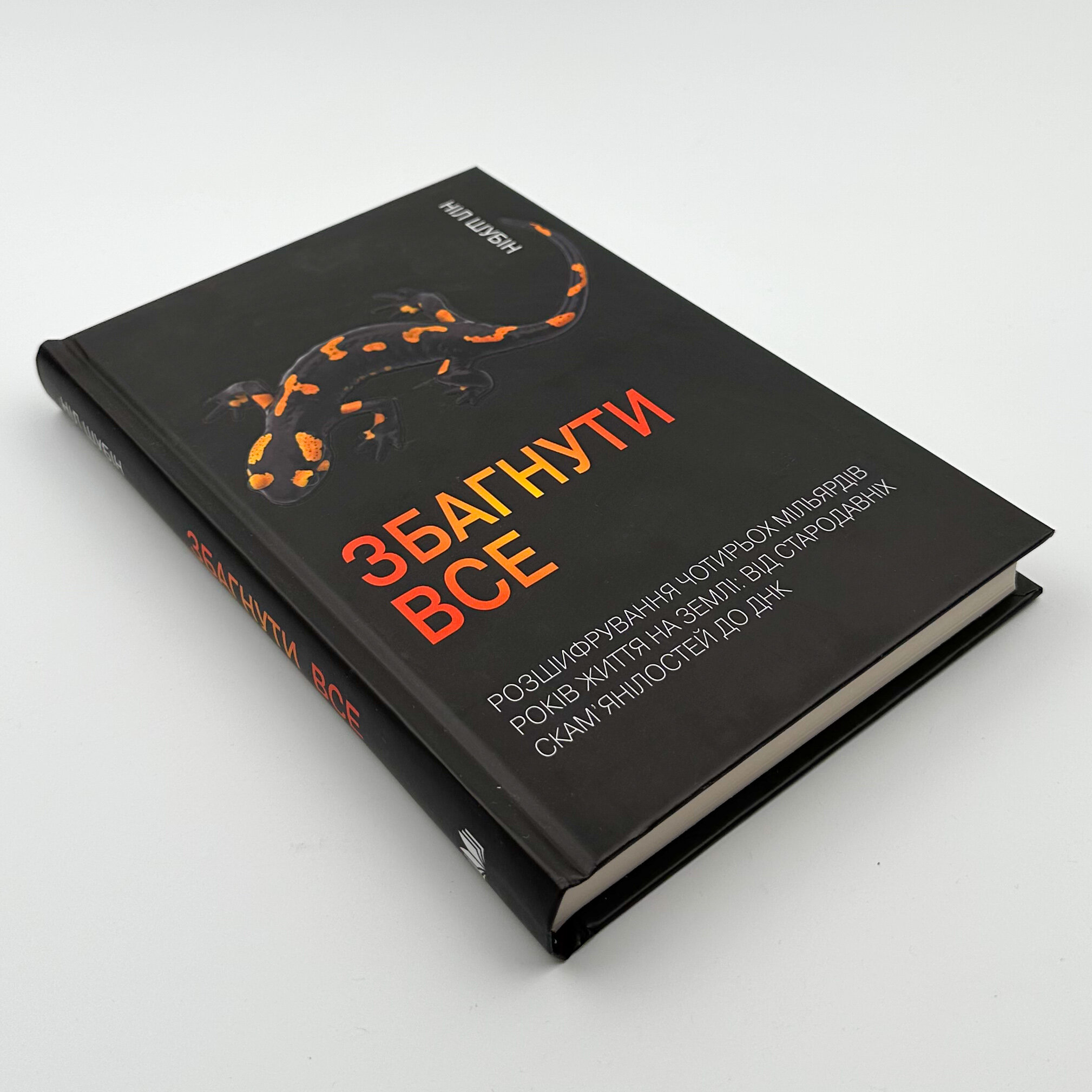 Збагнути все