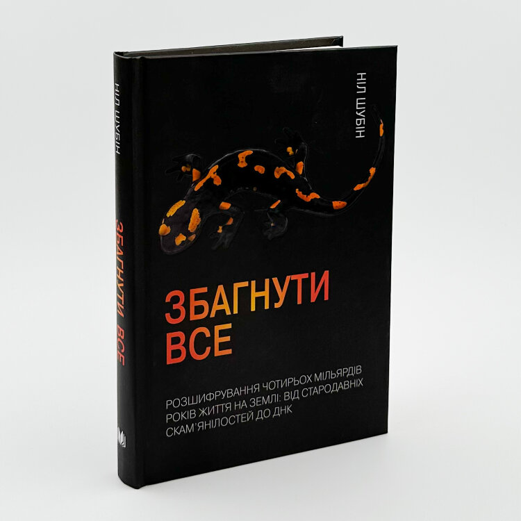 Збагнути все