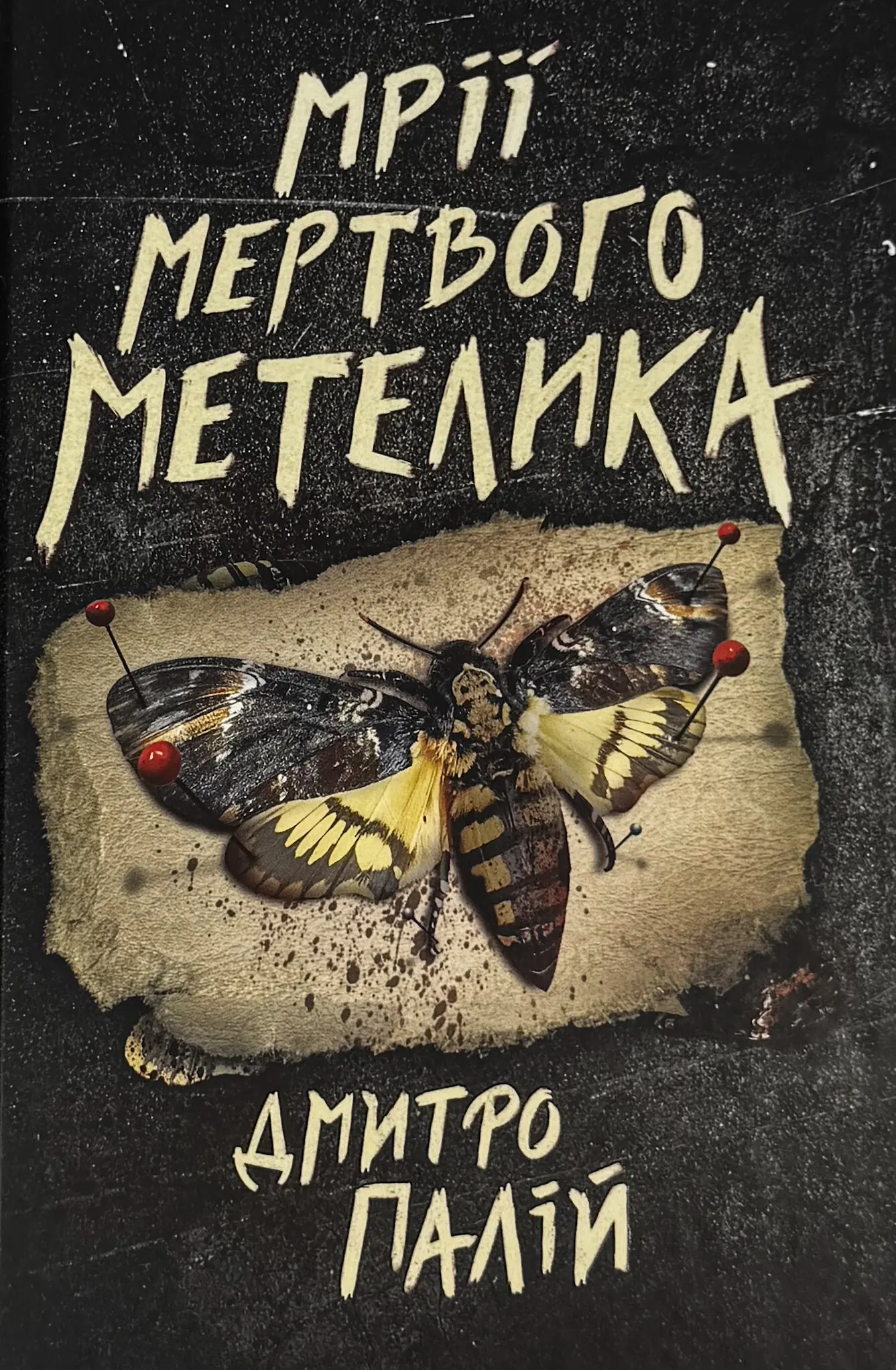 Мрії мертвого метелика. Порожній пазл. Книга 2