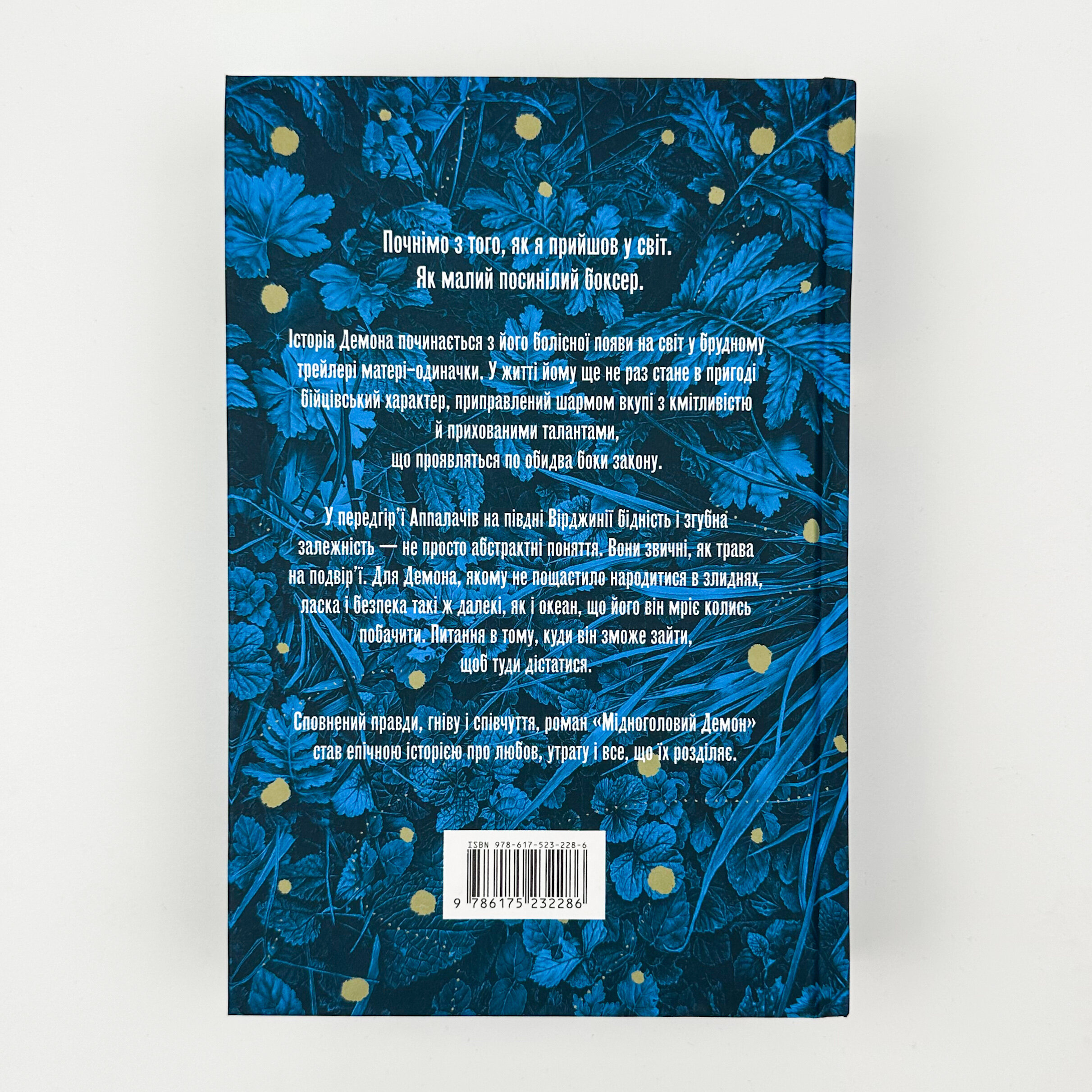 Мідноголовий демон (Limited edition). Автор — Барбара Кінґсолвер. 