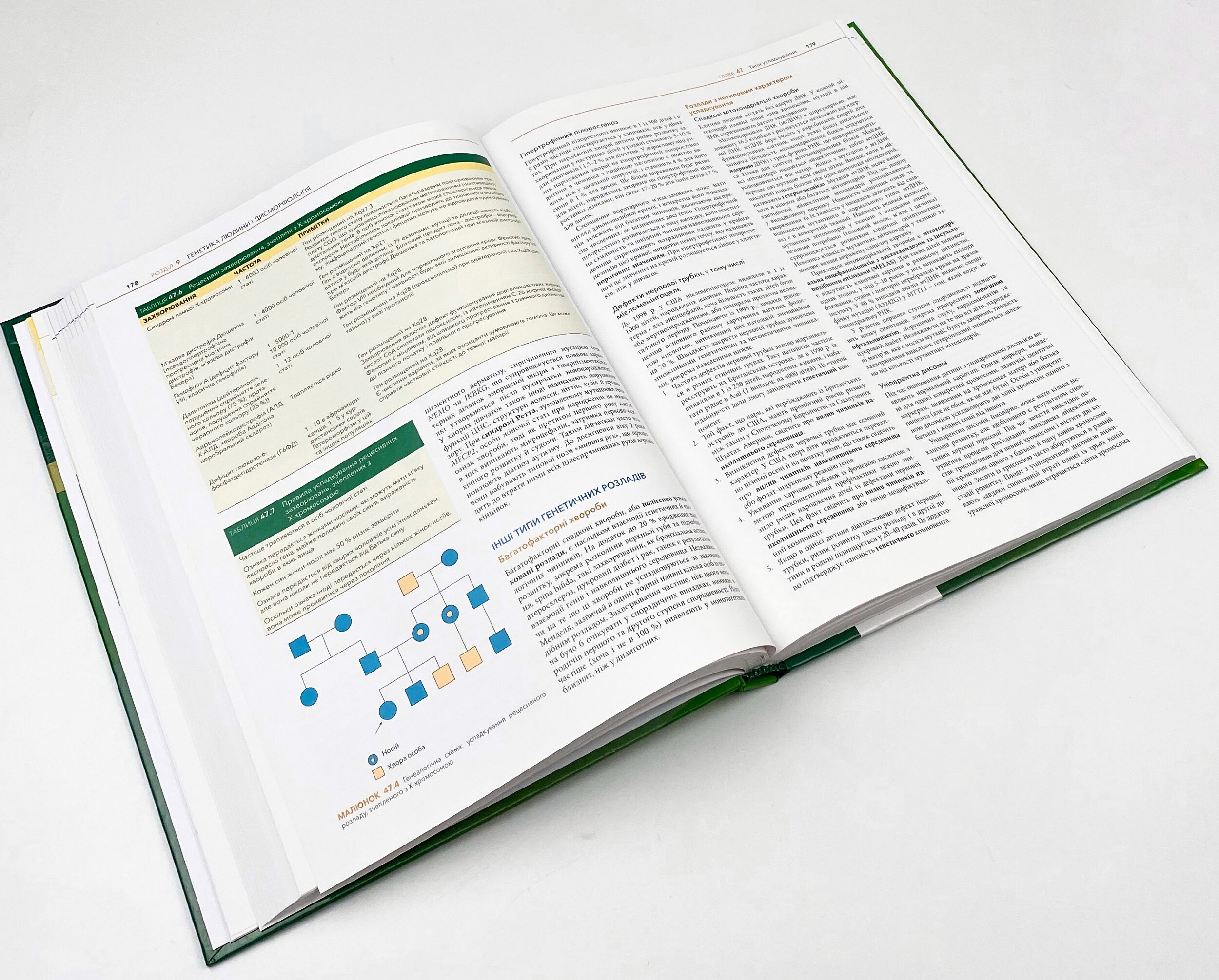 Основи педіатрії за Нельсоном: у 2 томах. Том 1. Автор — Карен Дж Маркданте, Роберт М Клігман. 