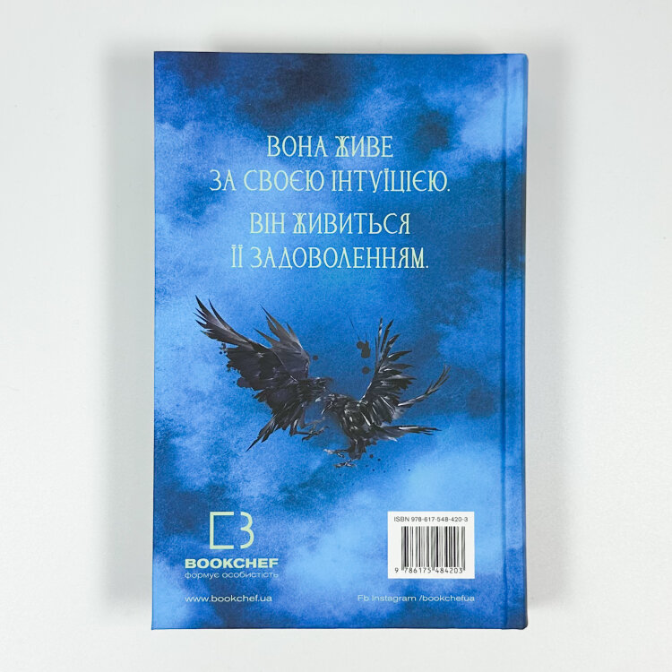 Пробудження. Книга 1. Падіння руїни та люті