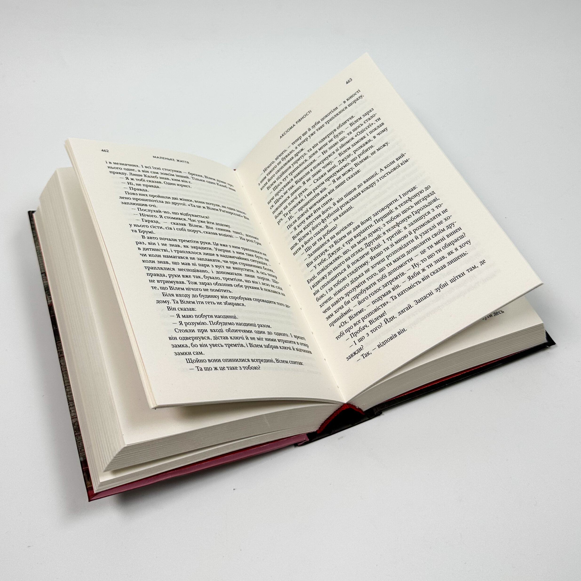 Маленьке життя. Автор — Ганья Янаґігара. 