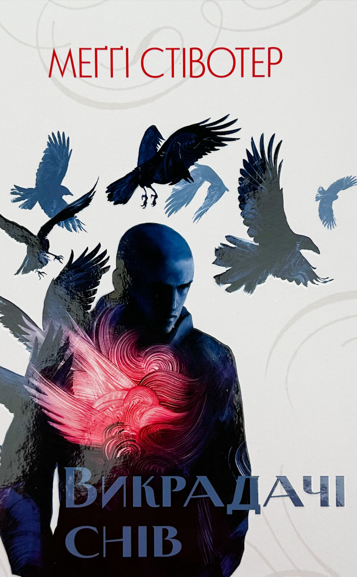 Викрадачі снів. Книга 2