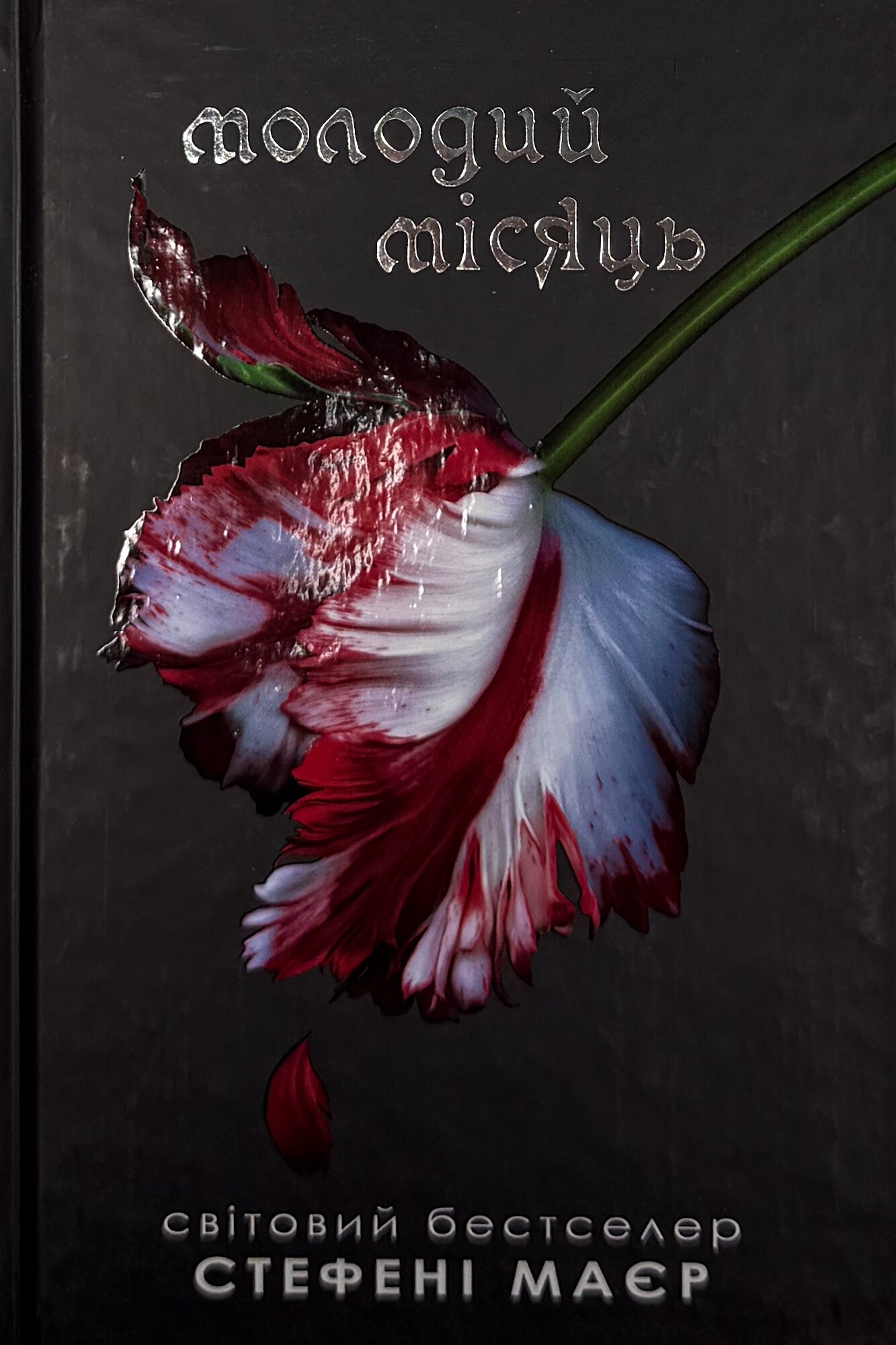 Молодий місяць. Книга 2