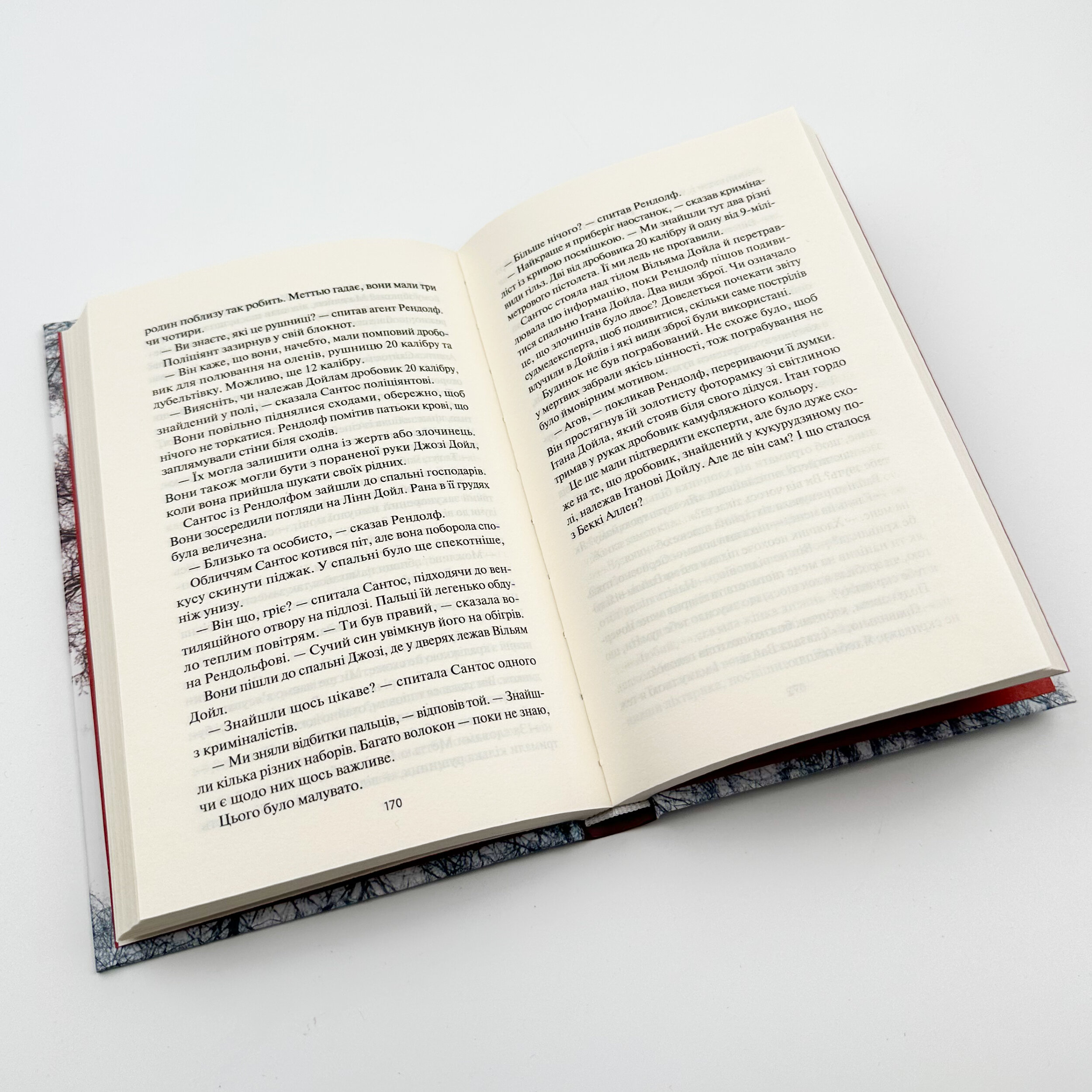 Гостя проти ночі. Автор — Гізер Ґуденкауф. 