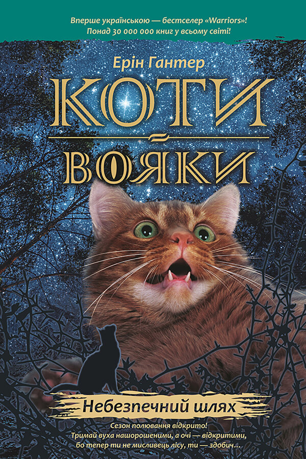 Небезпечний шлях