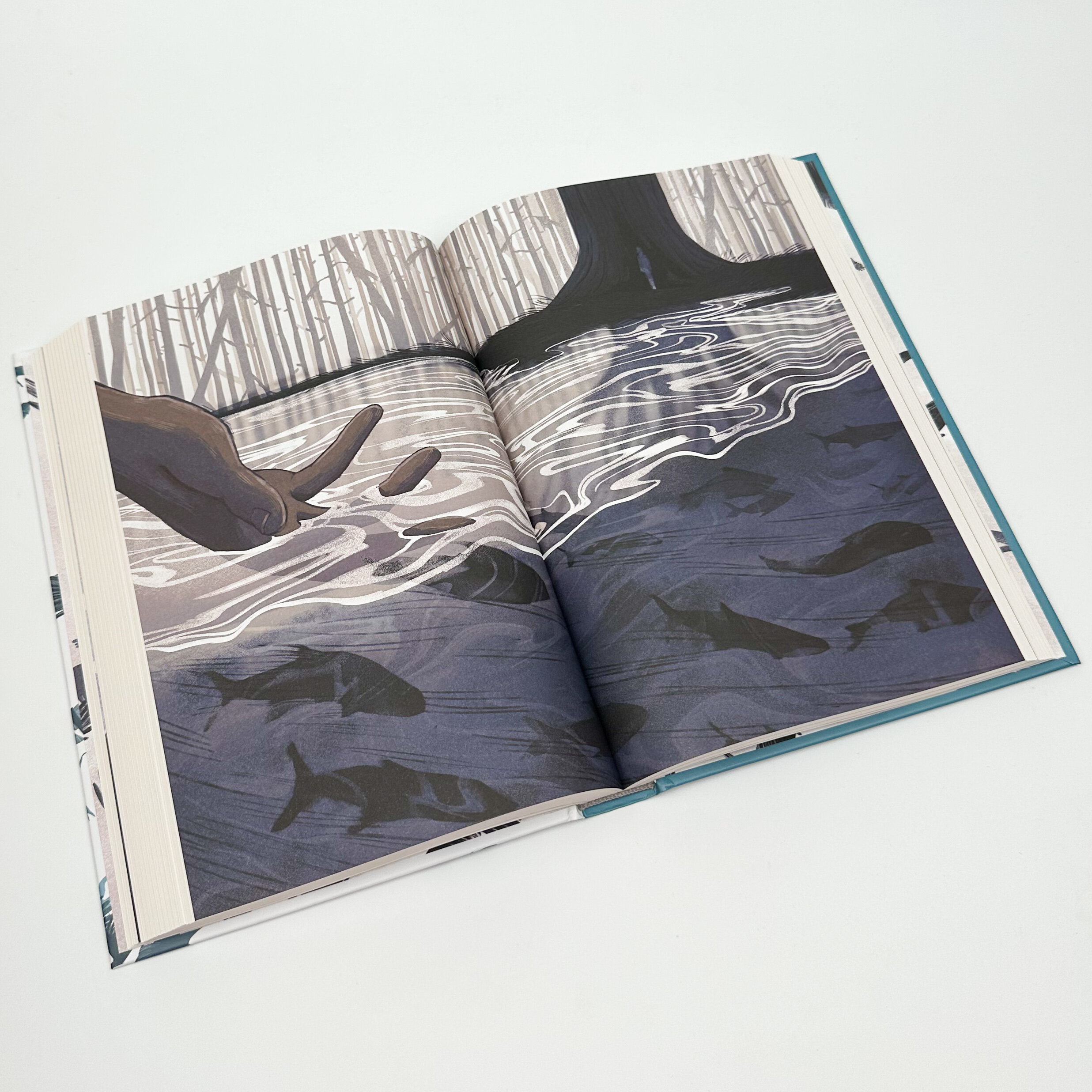 Ворони. Автор — Меґґі Стівотер. 