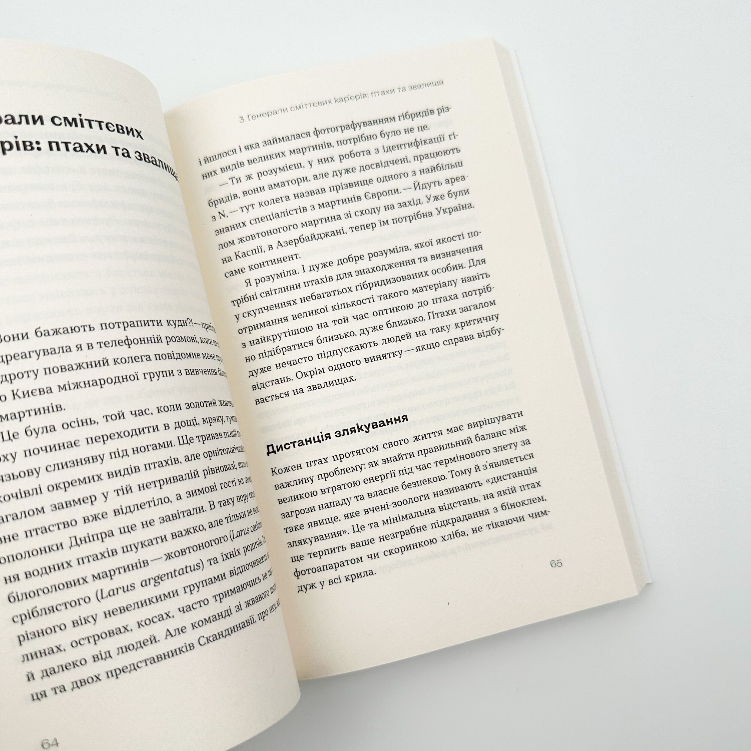 Птахи в місті. Життя та виживання в бетонних джунглях. Автор — Наталія Атамась. 