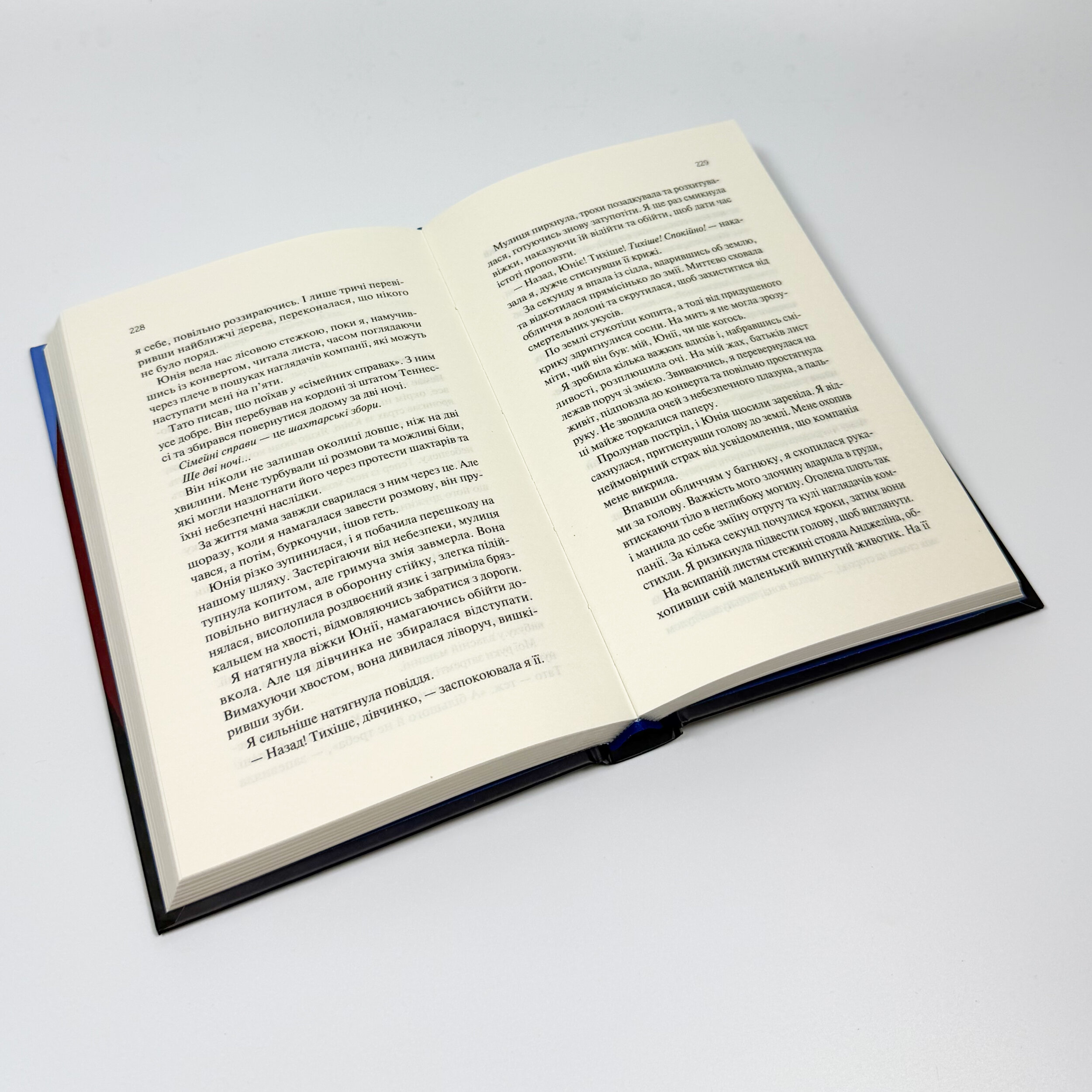 Книгарка з Траблсом-Крік. Книга #1. Автор — Кім Мішель Річардсон. 