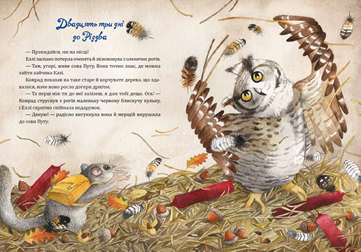 Таємниця різдвяного подарунка. Автор — Лотт Анна. 