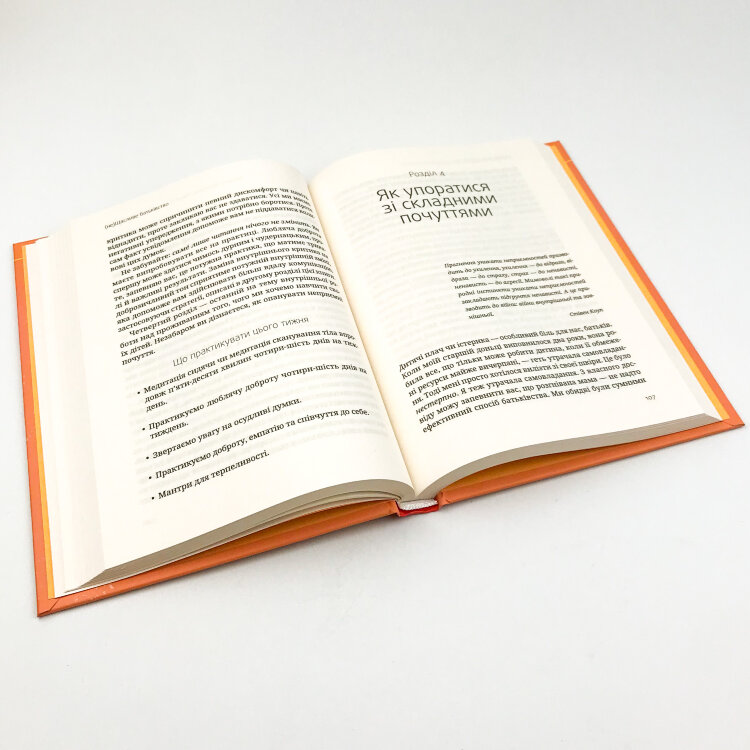 (не)Щасливе батьківство. Чесна книга про виховання дітей