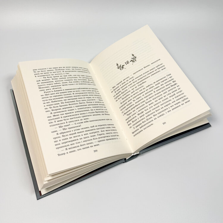 Примарне правління. Академія Еверфолл. Книга 2