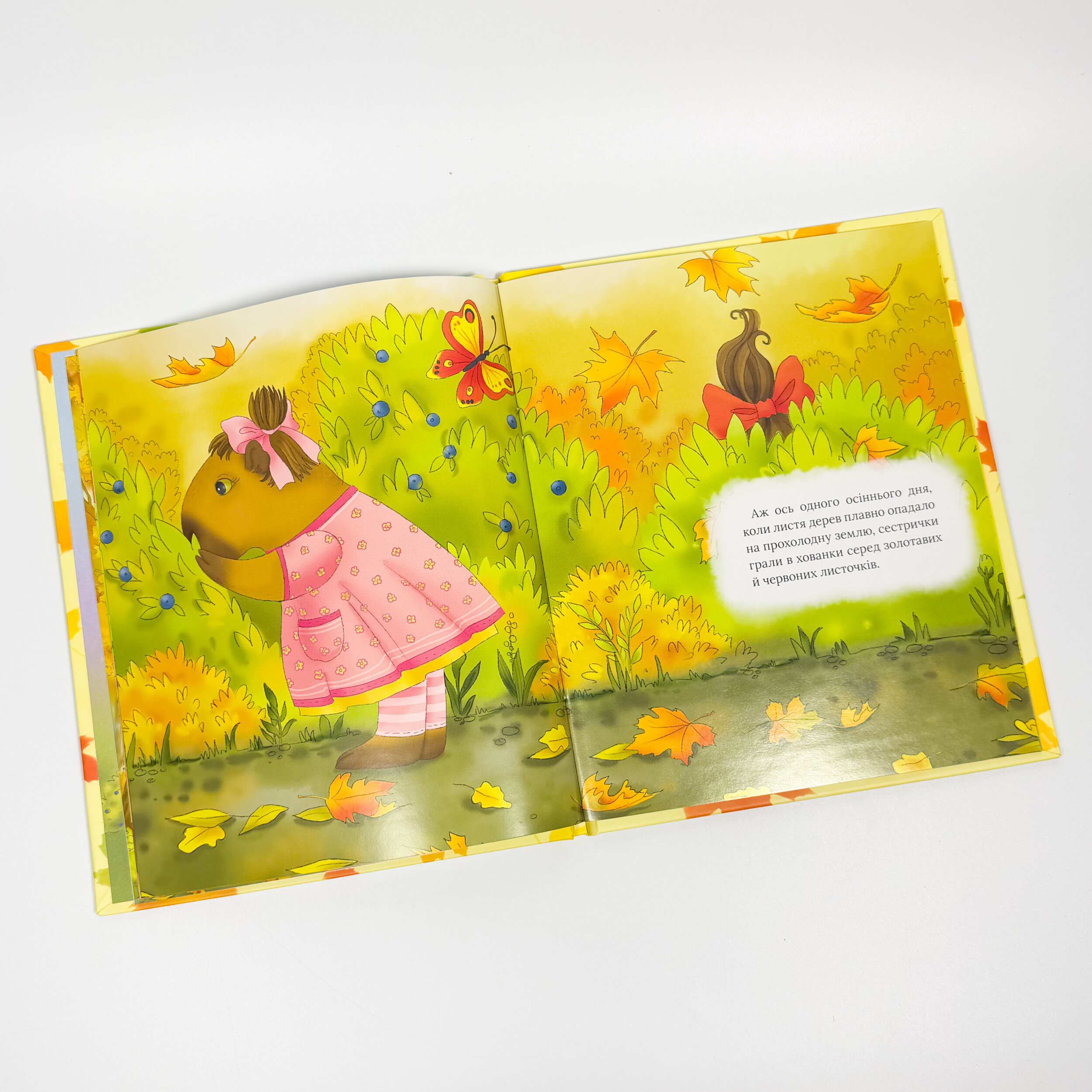 Дружба на лапах або капібари вчаться дружити. . 