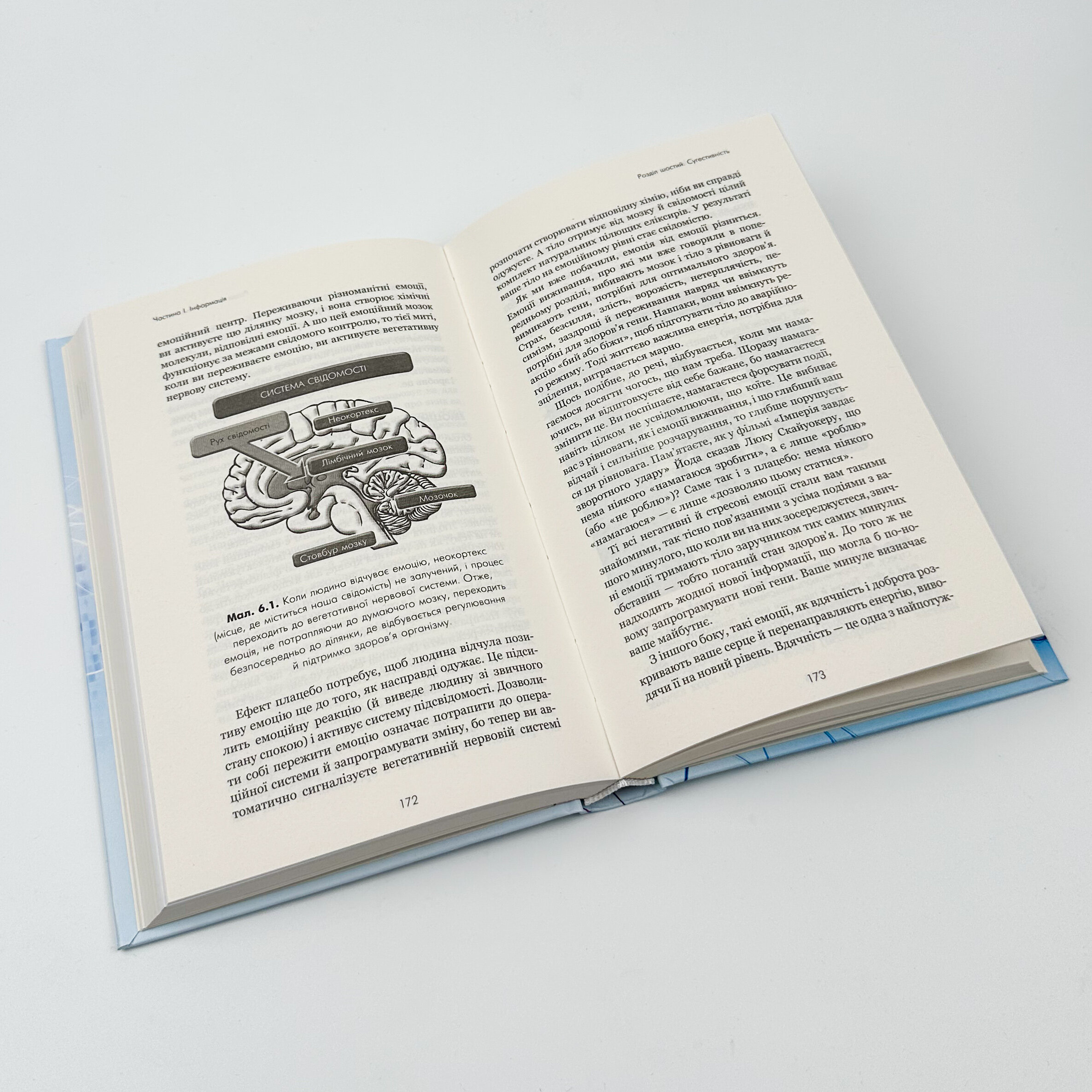 Ти сам собі плацебо. Перетвори свій розум на ліки. Автор — Джо Диспенза. 