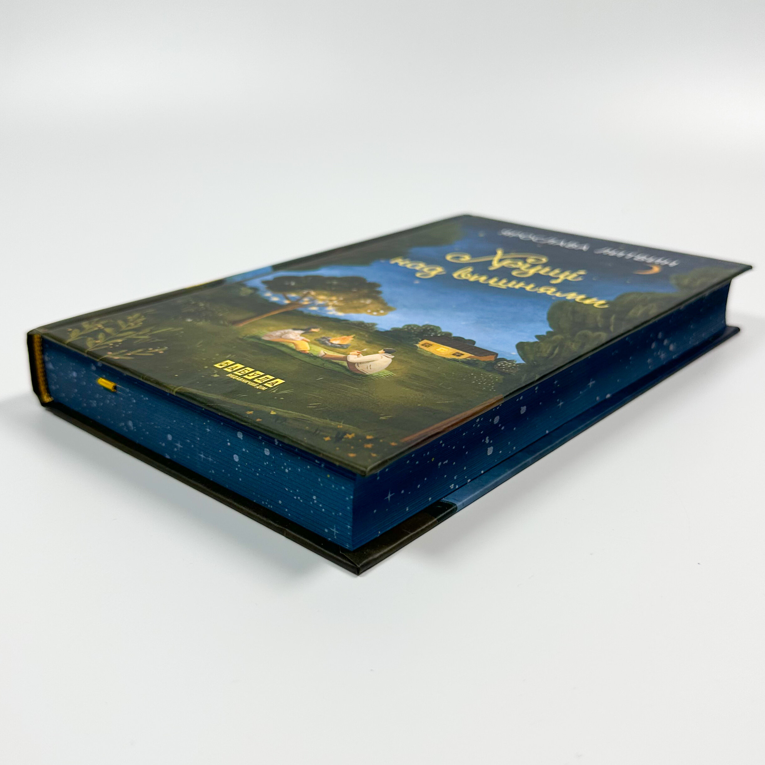 Хрущі над вишнями. Автор — Ярослава Литвин. 