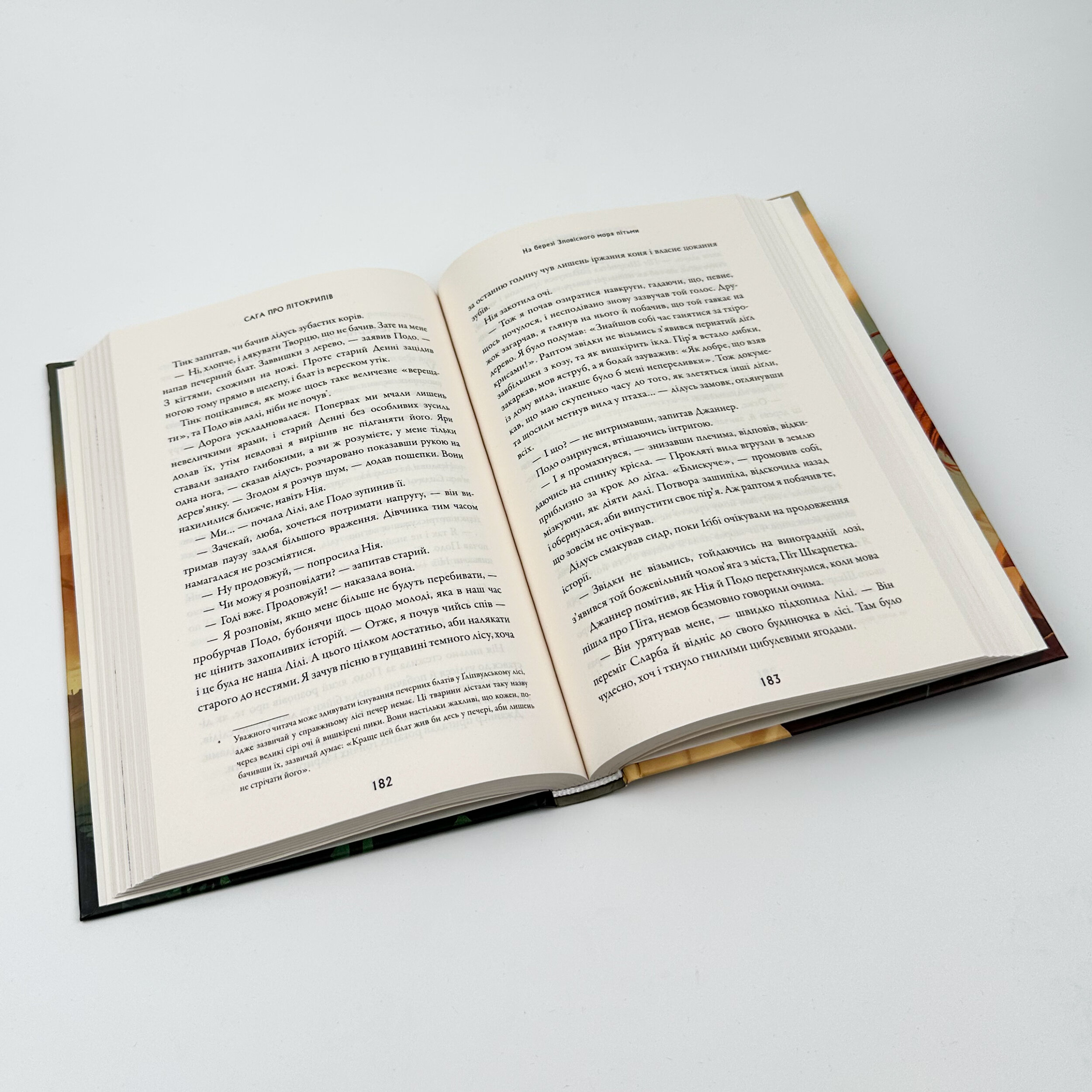 Сага про Літокрилів. Книга 1. На березі Зловісного моря пітьми. Автор — Ендрю Пітерсон. 