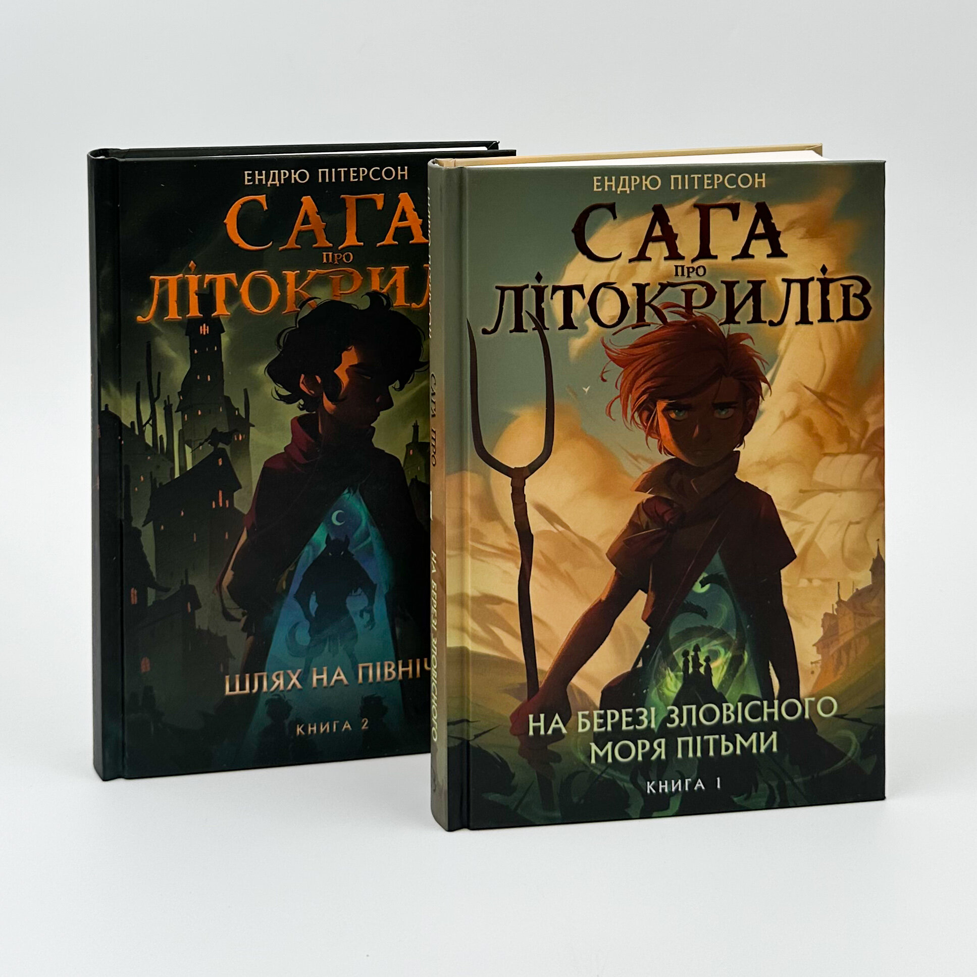Сага про Літокрилів. Книга 1. На березі Зловісного моря пітьми. Автор — Ендрю Пітерсон. 
