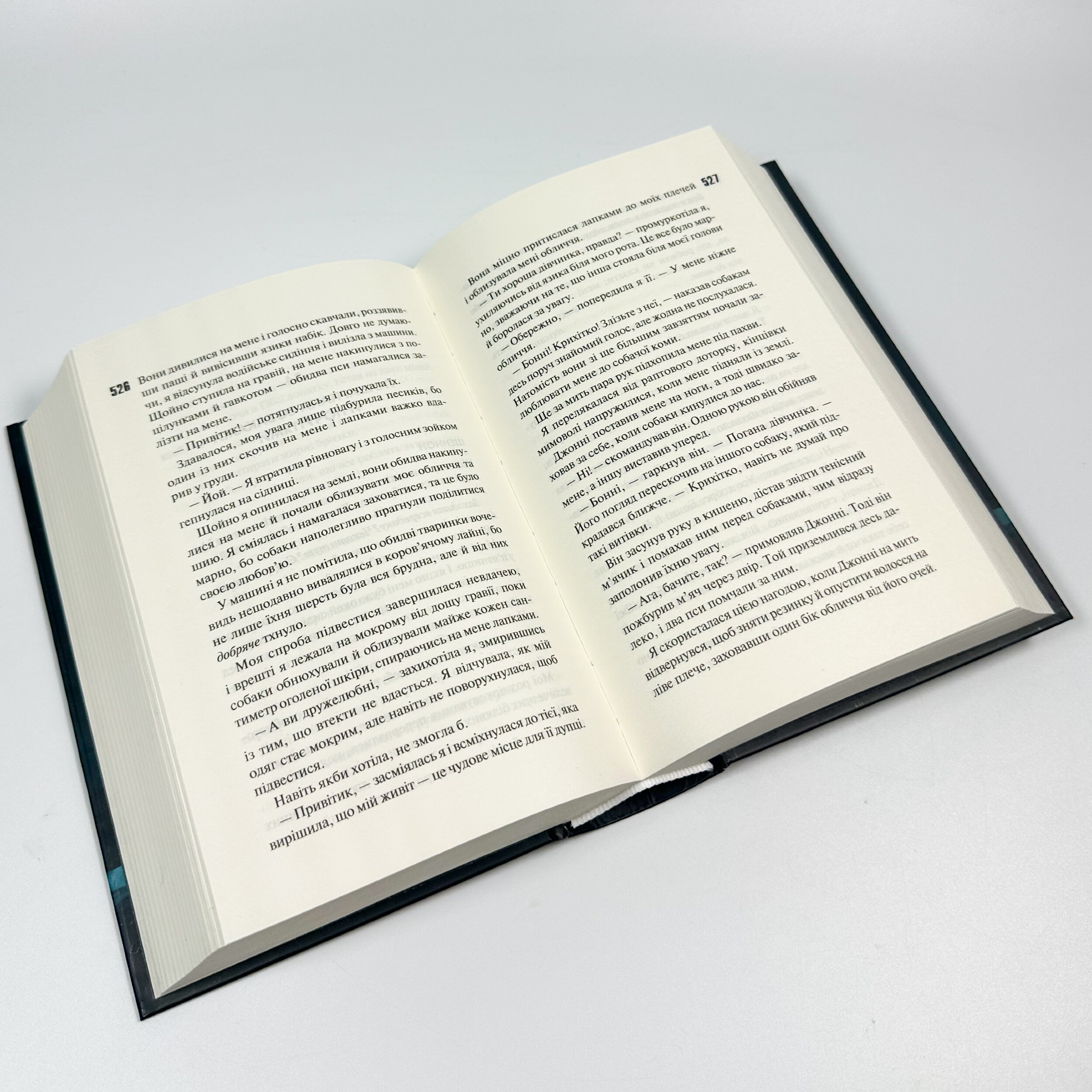 Захопити Тринадцятого. Автор — Хлої Волш. 