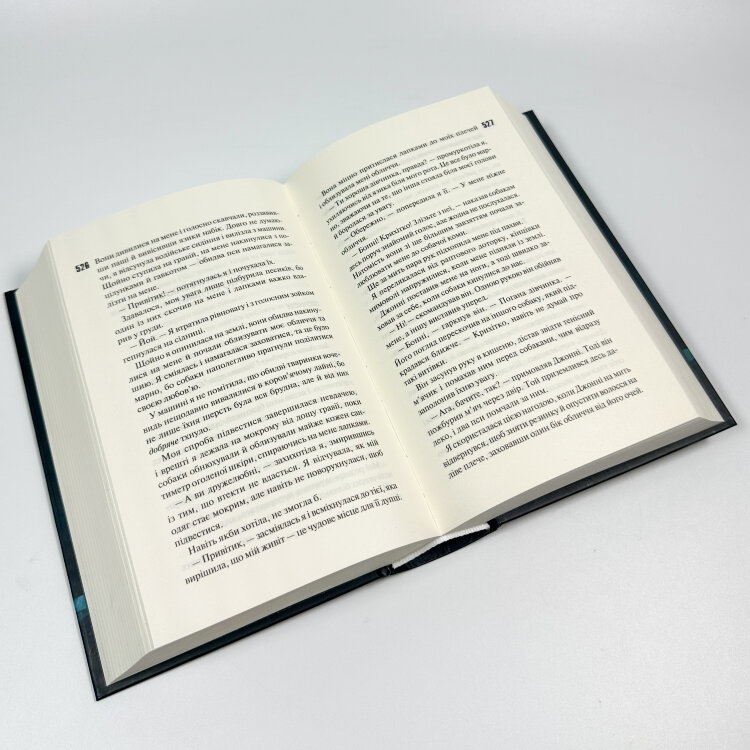 Захопити Тринадцятого. Книга 1