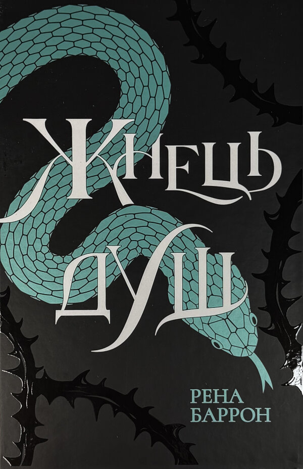 Королівство душ. Жнець душ. Книга 2