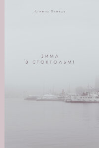 Зима в Стокгольмі