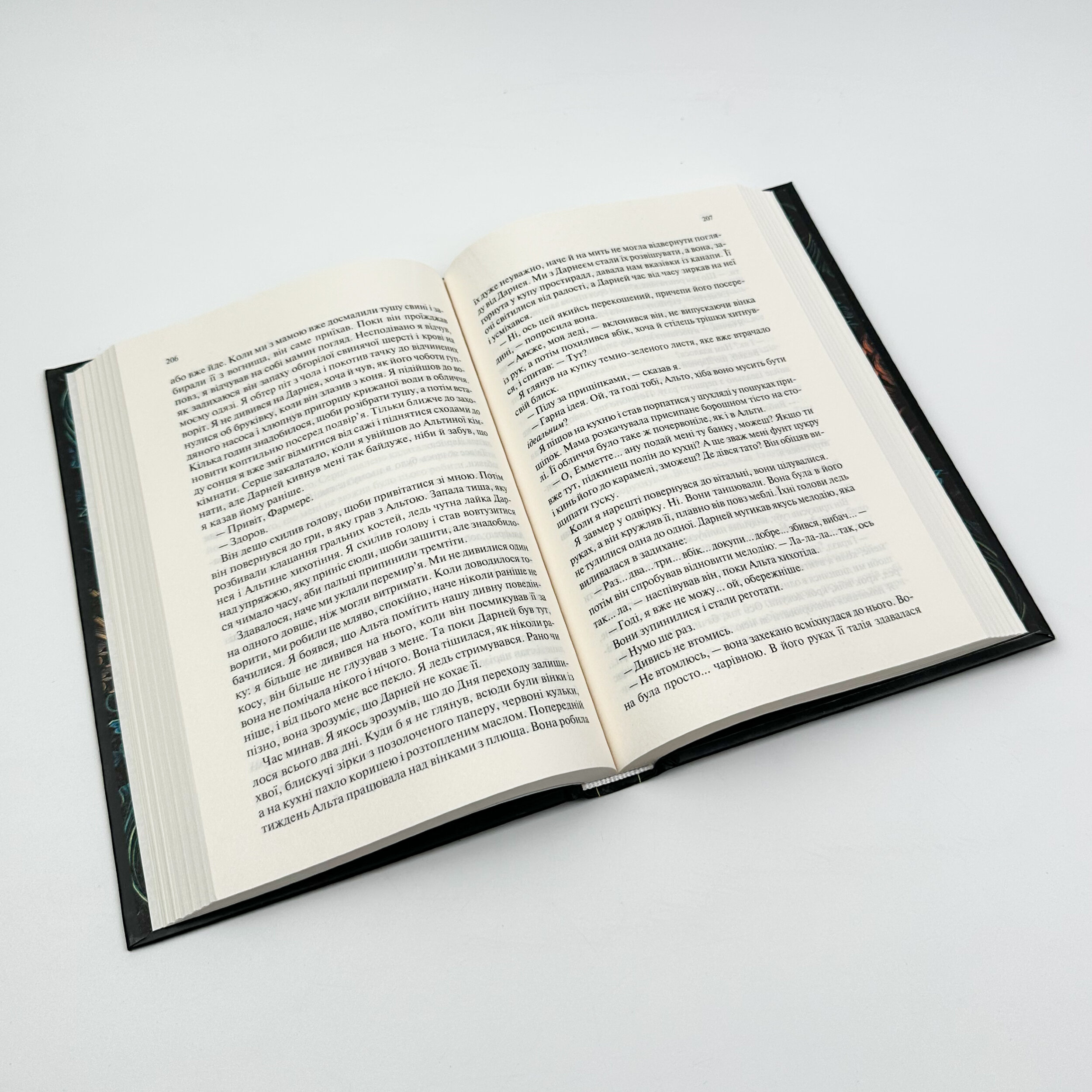 Палітурник. Автор — Бріджит Коллінз. 