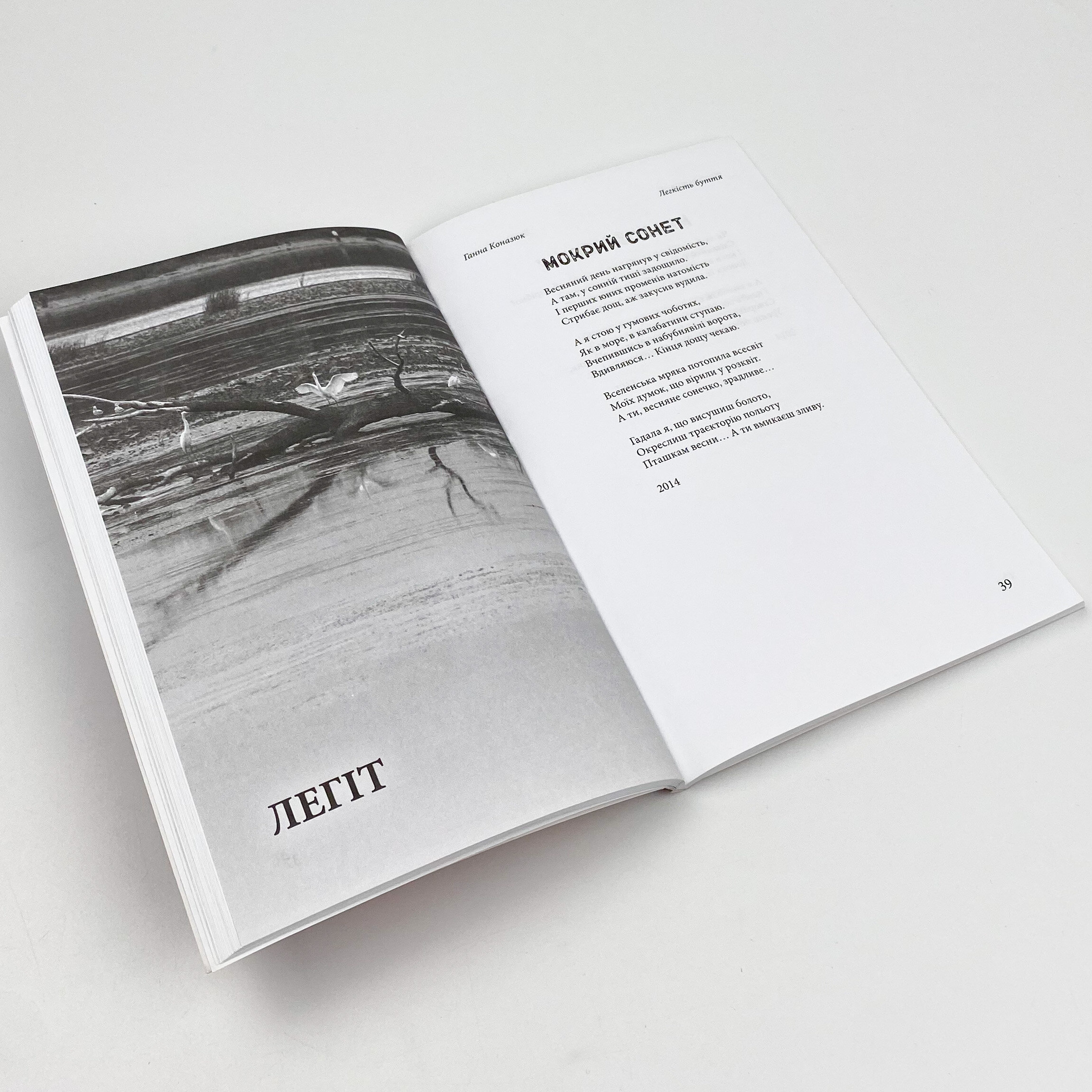 Легкість буття. Автор — Ганна Коназюк. 