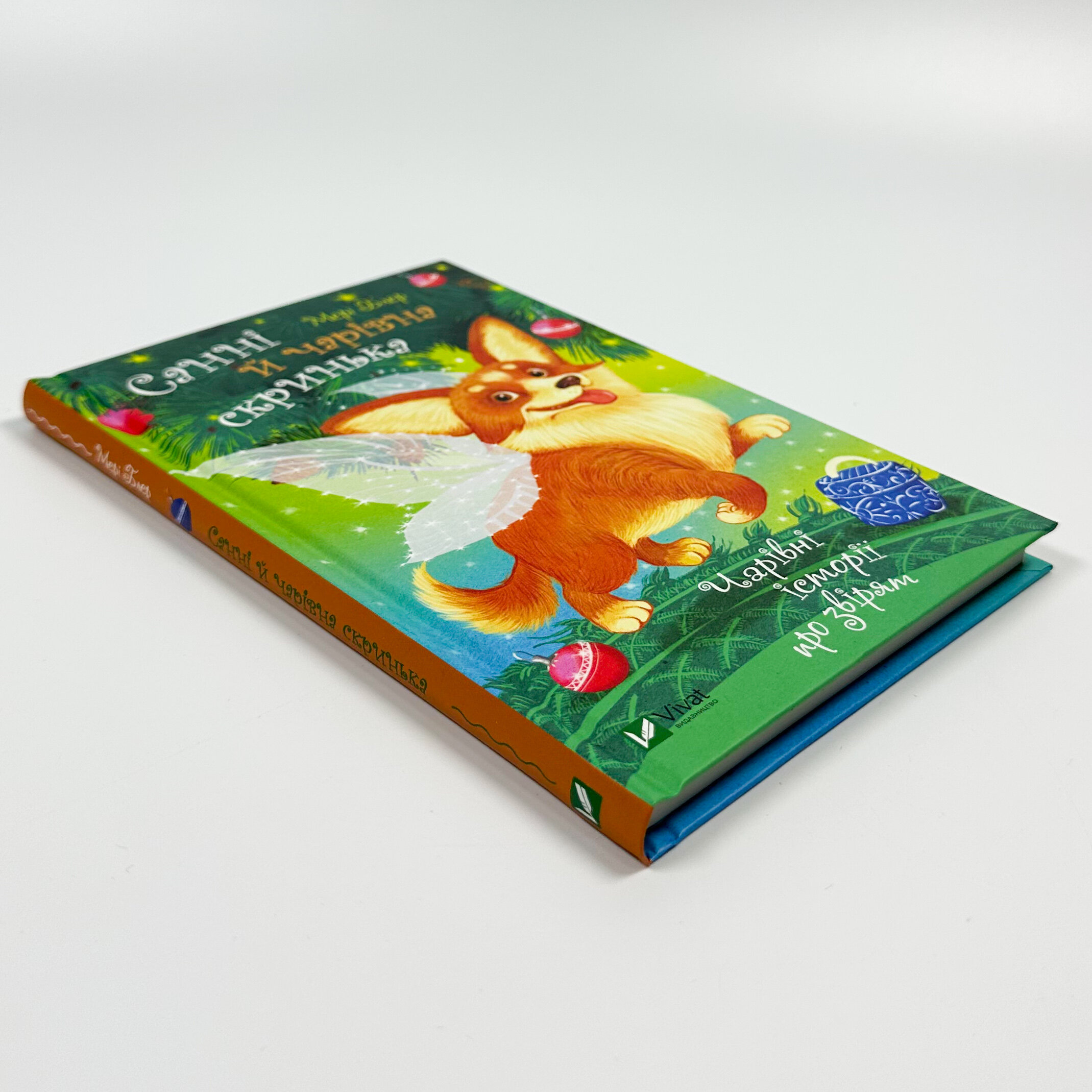 Санні й чарівна скринька