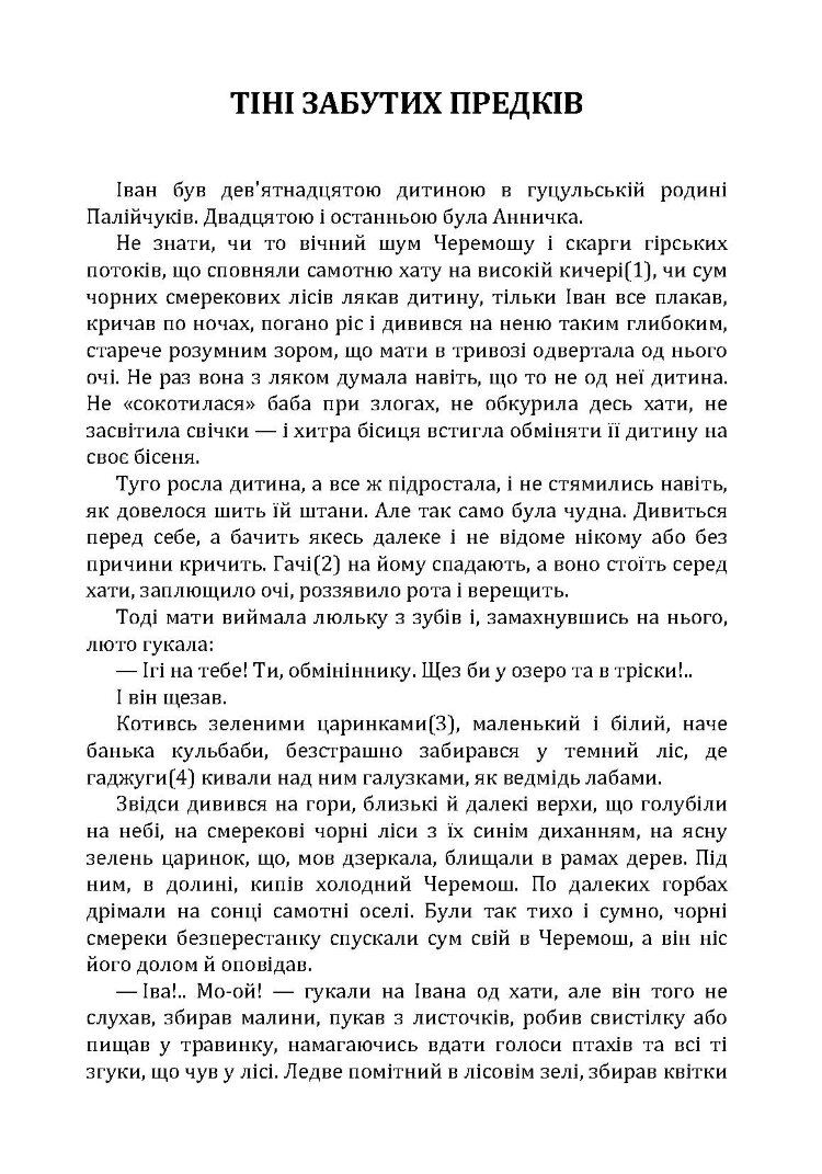 Тіні забутих предків. Intermezzo