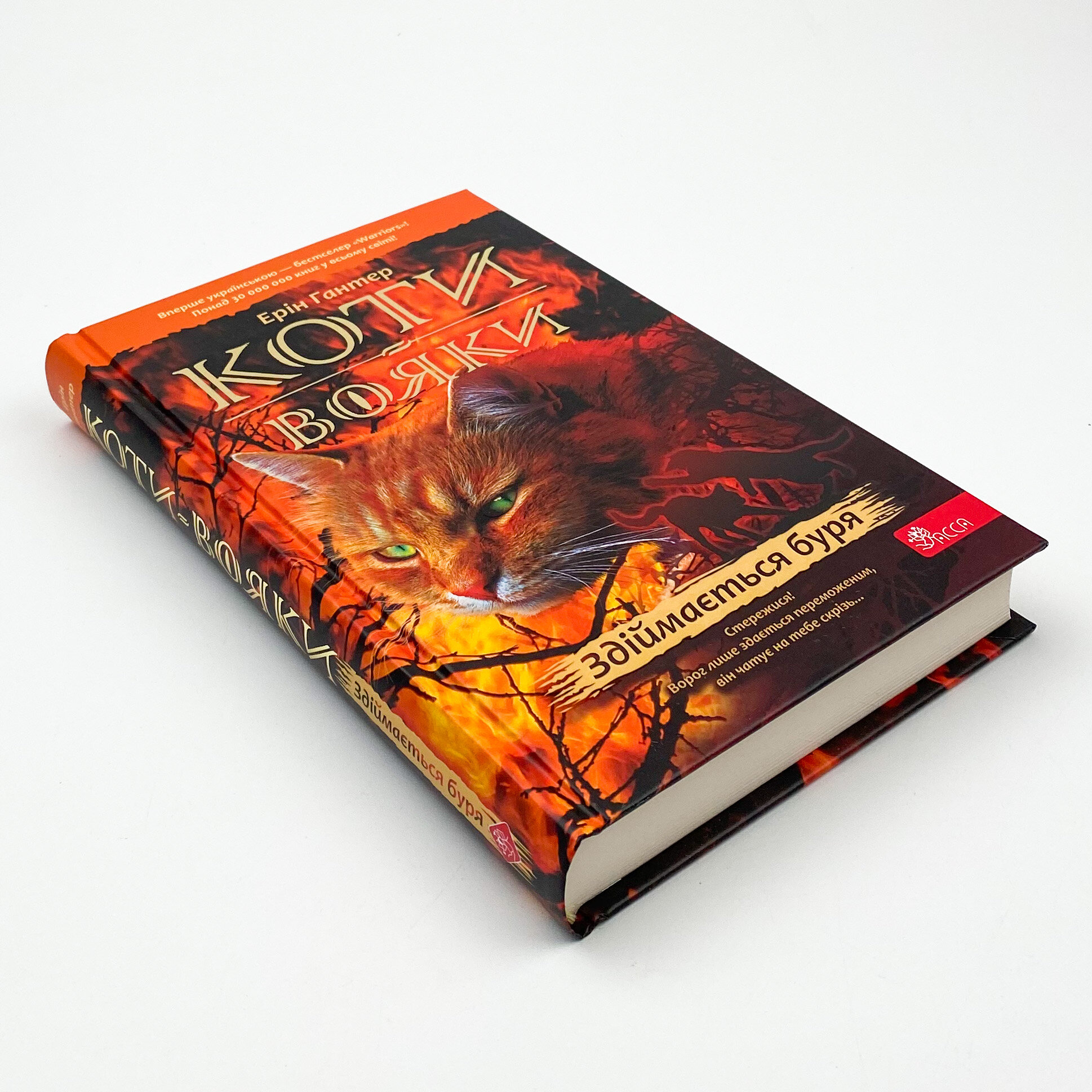 Коти-вояки. Книга 4. Здіймається буря