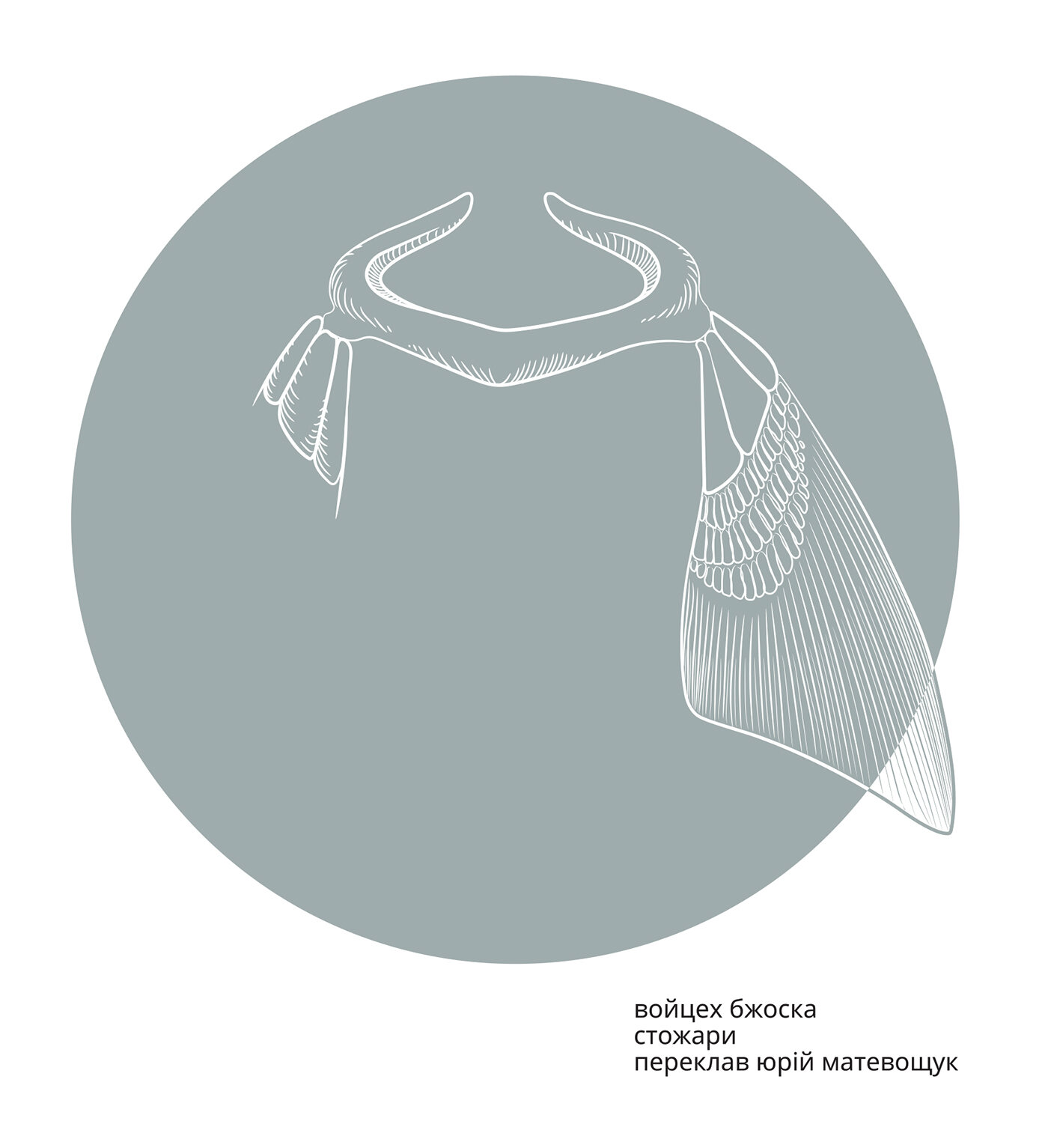 Войцех Бжоска. Стожари