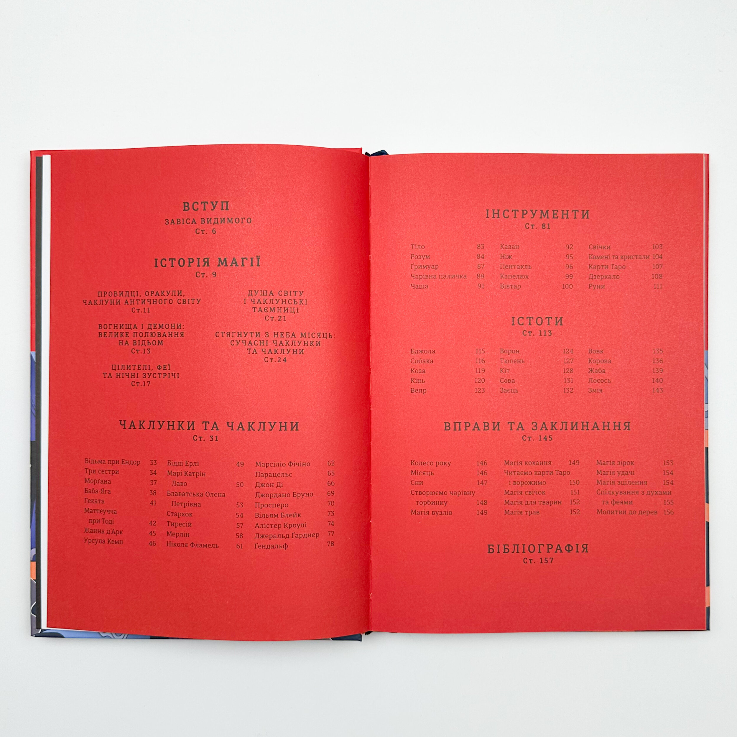 Чарівники й чаклунки: посібник із магії для початківців. Автор — Франческа Маттеоні. 