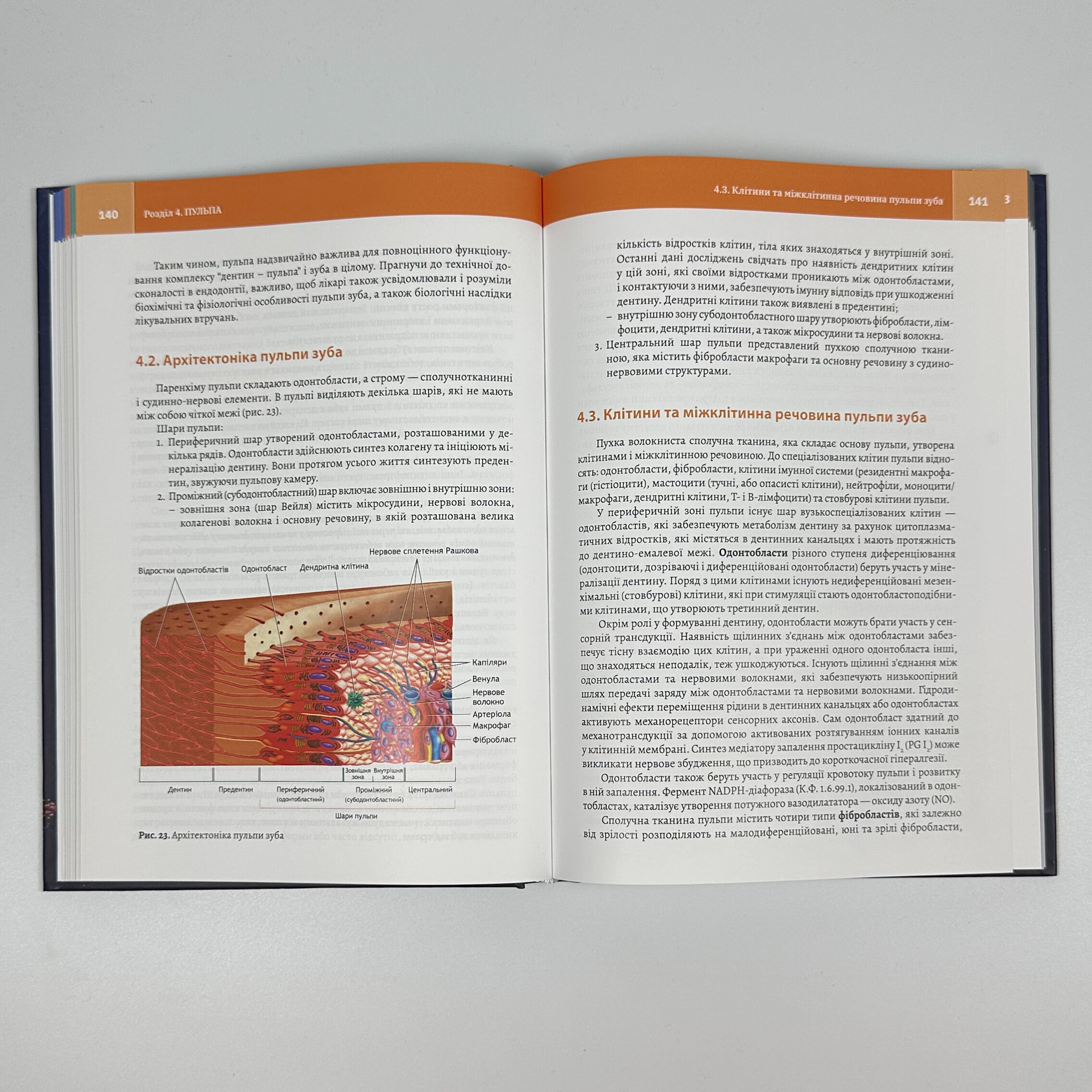 Клінічна біохімія тканин зуба і пародонта. Автор — А.О. Микитенко. 