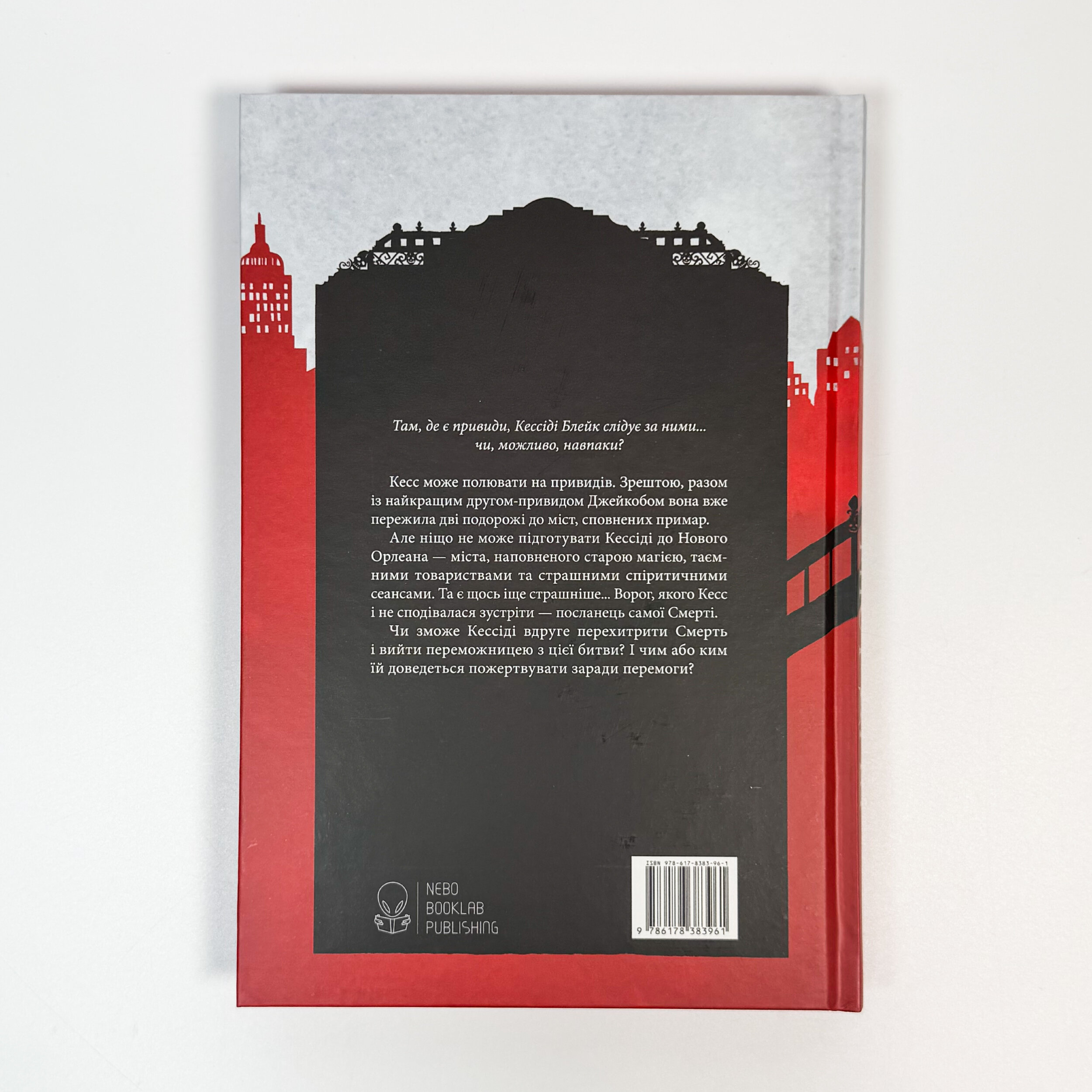 Міст душ. Автор — Вікторія Шваб. 